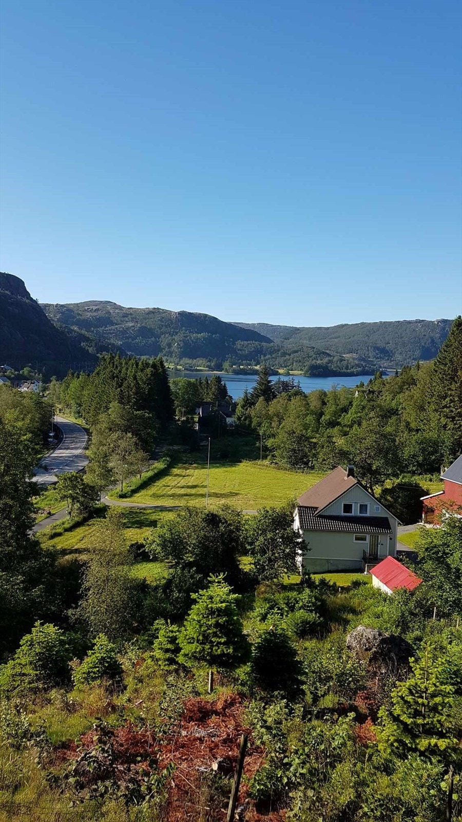 Bilde tatt av selger Galleribilde