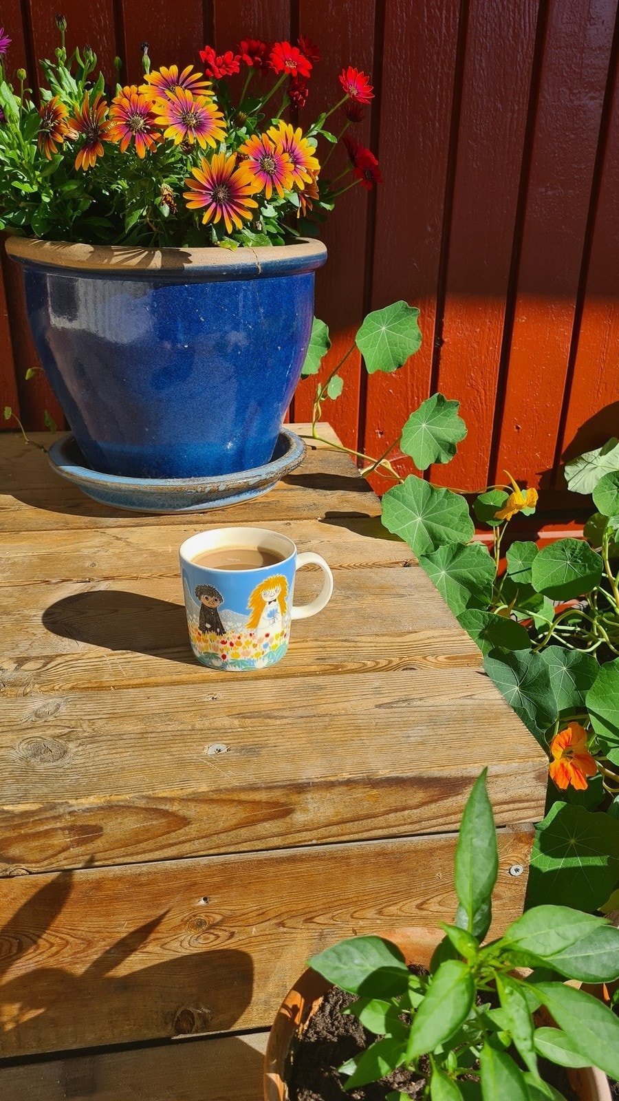 Terrasse om sommeren, bilde tatt av utleier. Galleribilde
