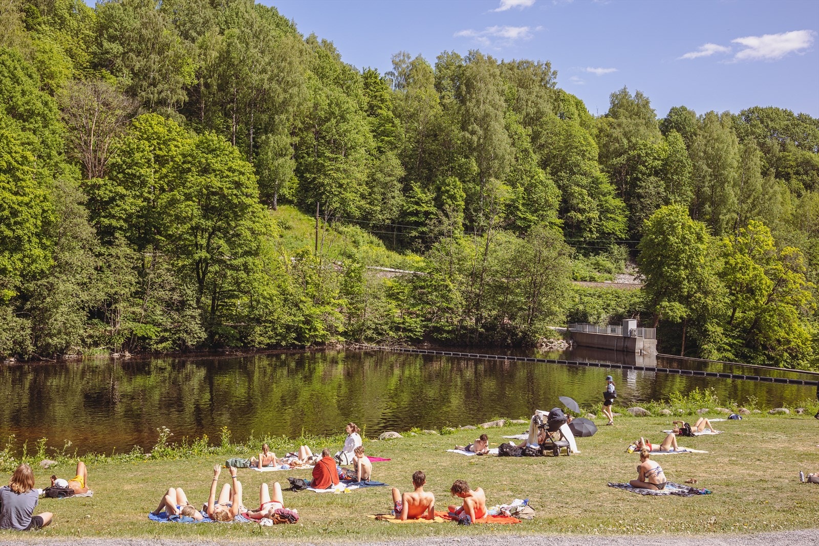 Nydalsdammen park og badekulp. Galleribilde