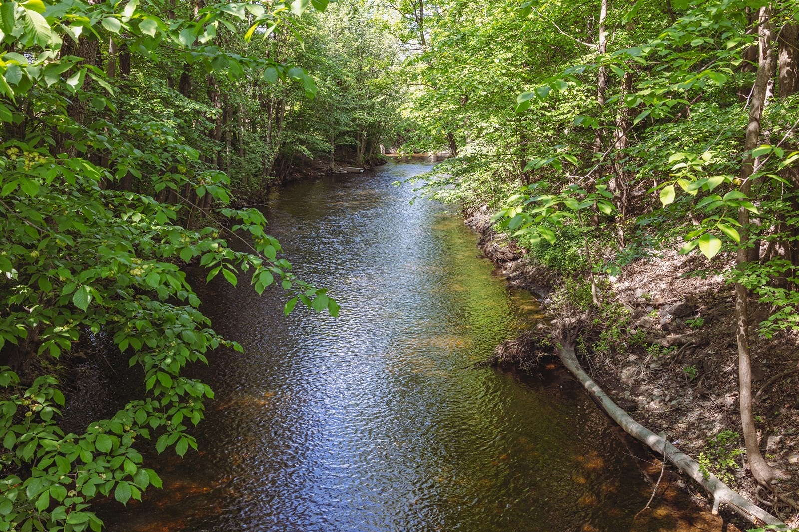 Den naturskjønne stien langs Akerselva er perfekt for en joggetur eller en hyggelig kveldstur. Galleribilde