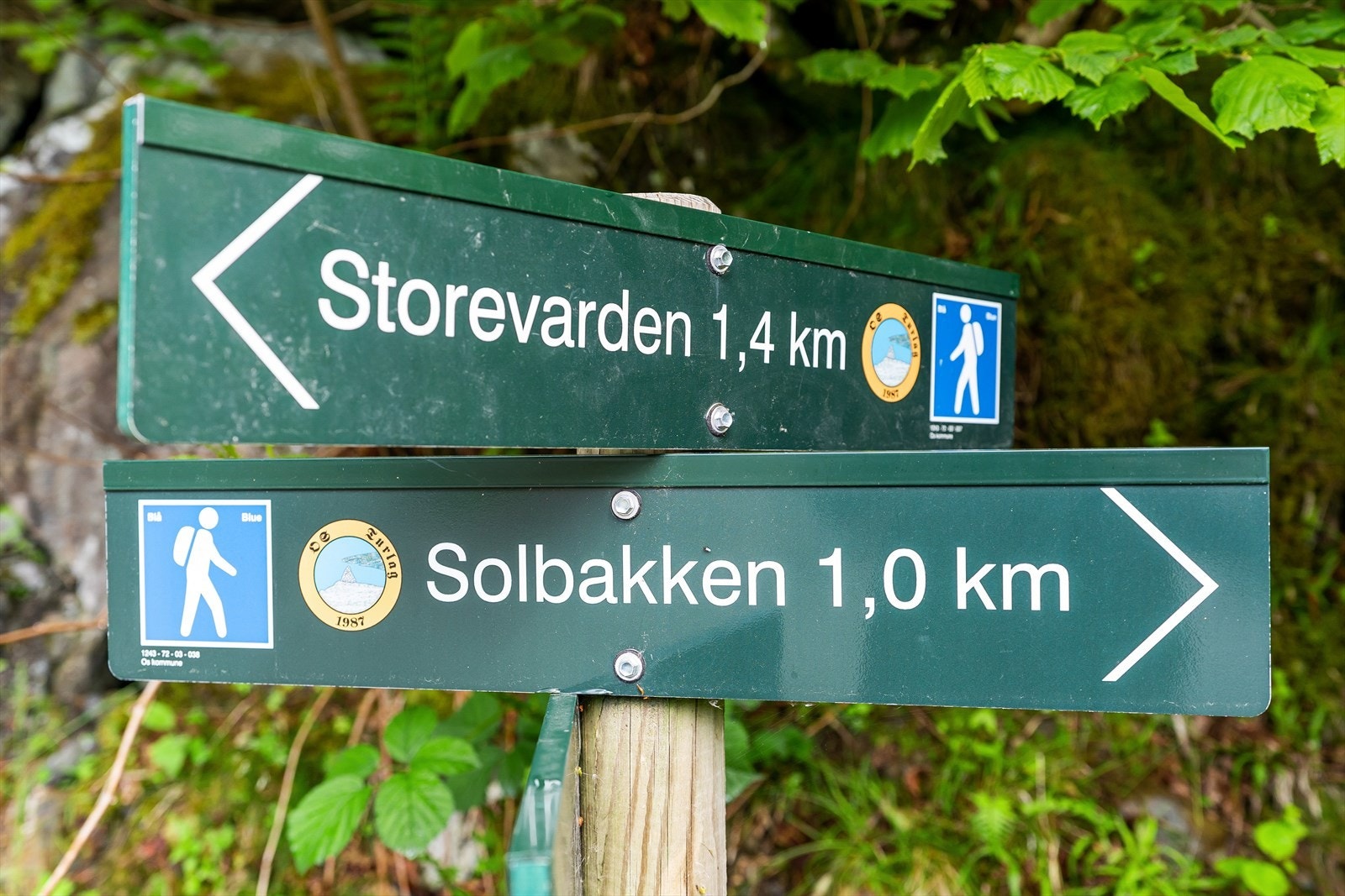 Flere fine turstier i nærområdet. Tomten ligger rett ved en av de mest populære turstiene som går opp Storevarden på Liafjellet. Galleribilde