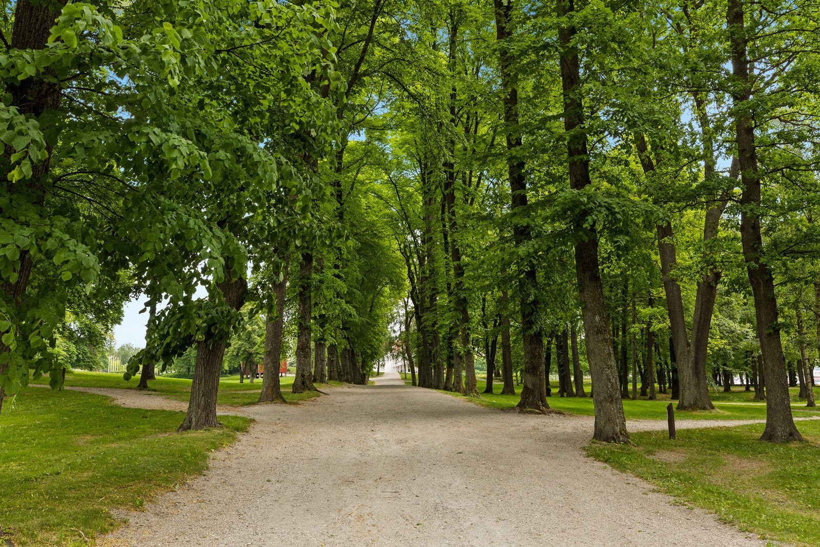 Utebilde. Galleribilde