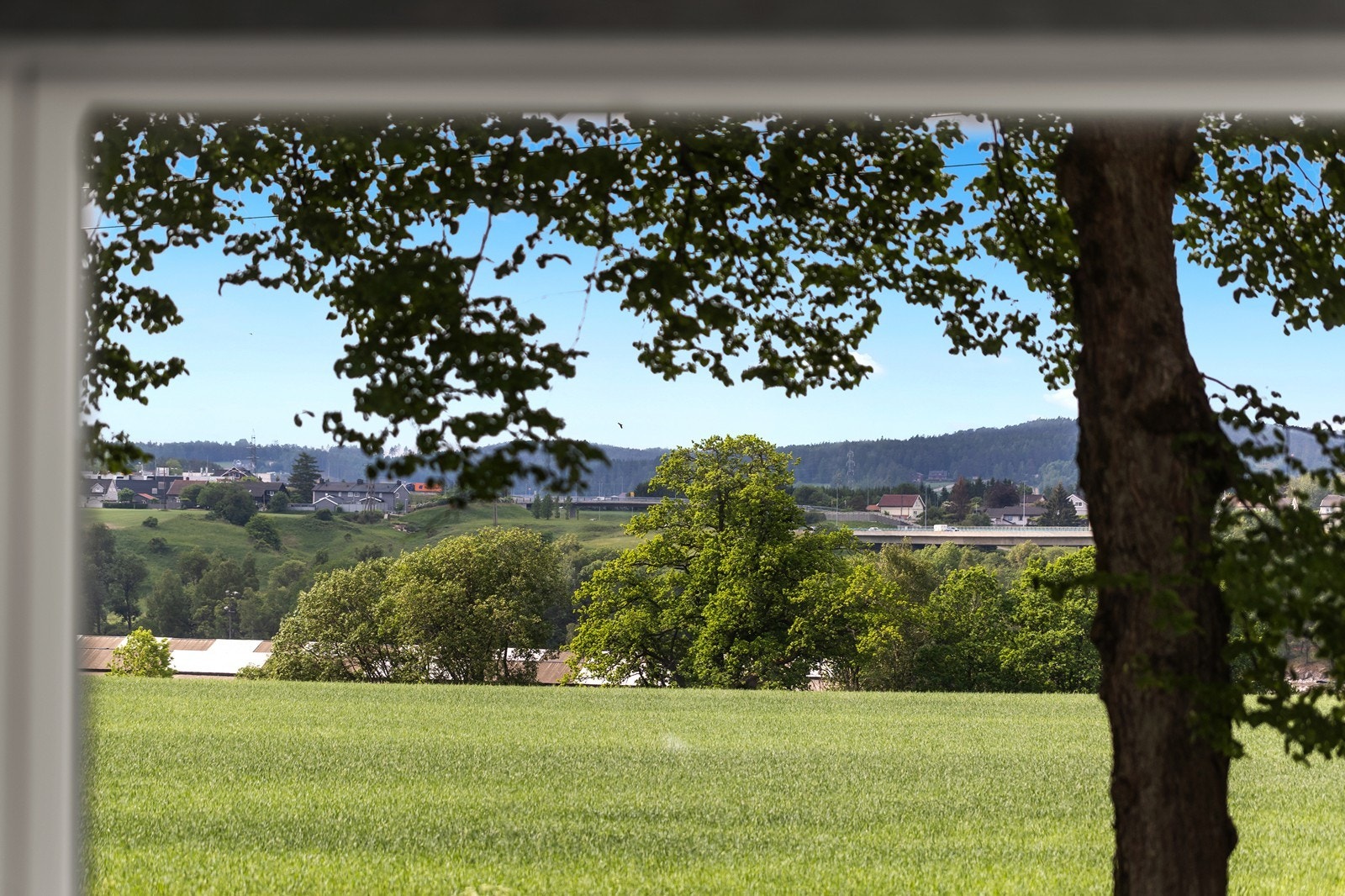 Utsikten mot nærområdet. Galleribilde