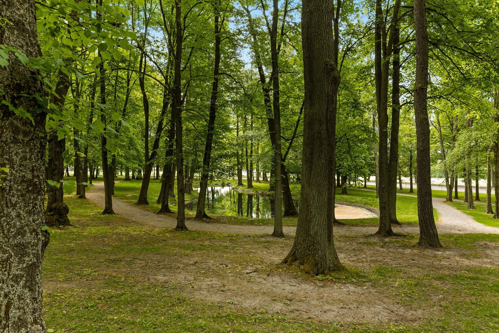 Utebilde. Galleribilde