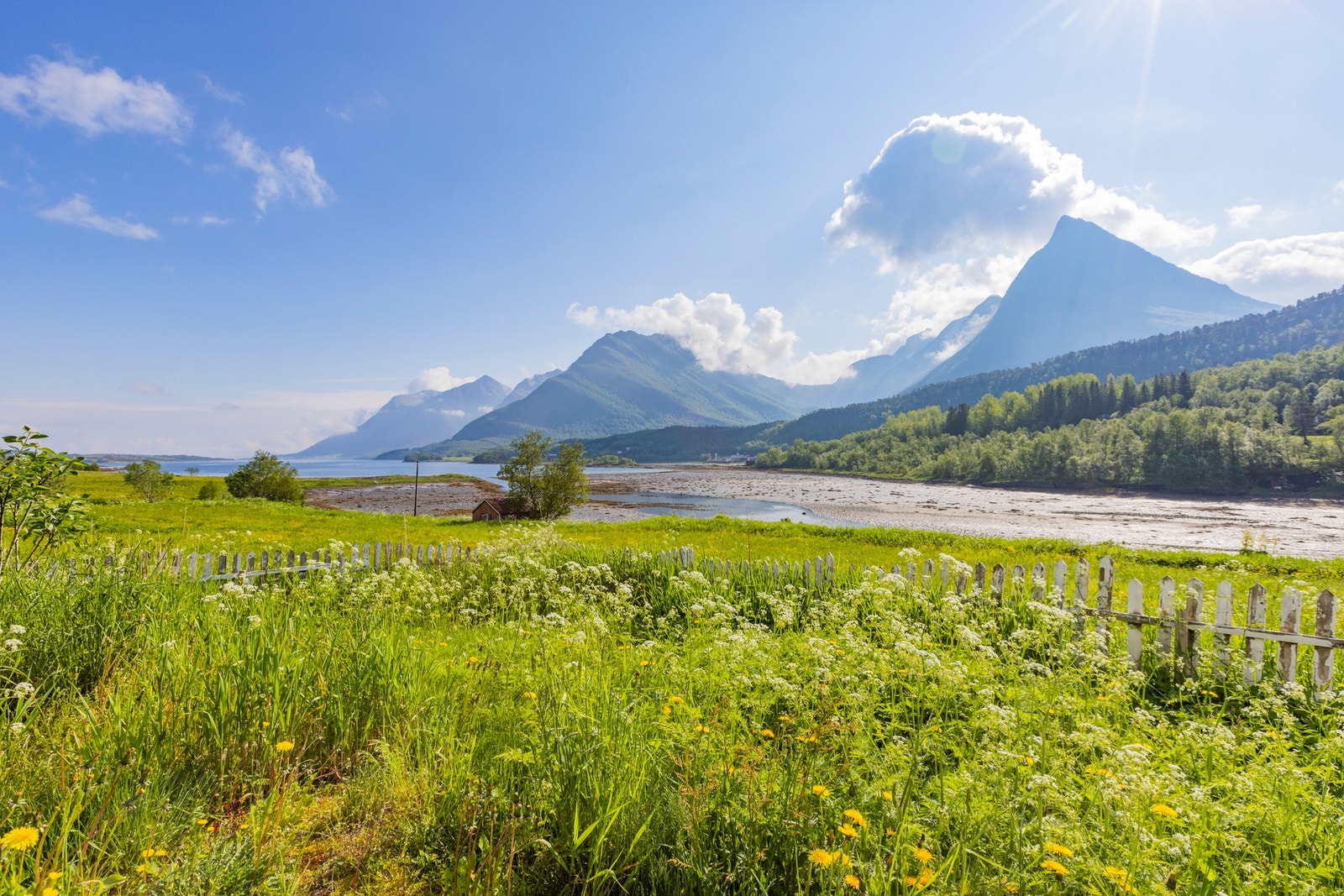 Uteområde Galleribilde