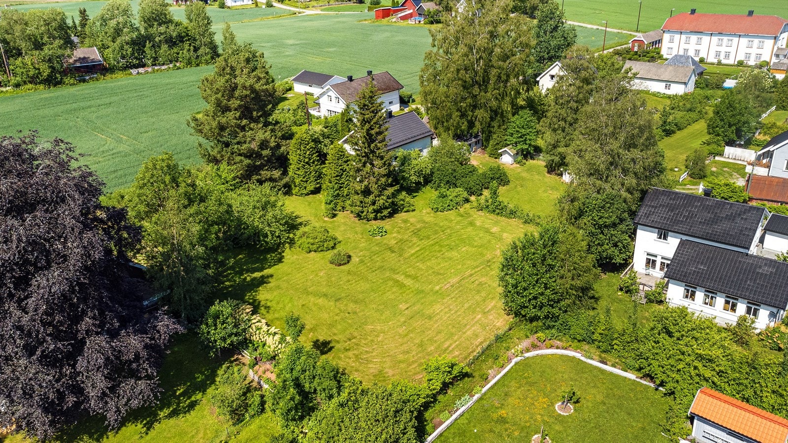 Tomt og fasade. Galleribilde