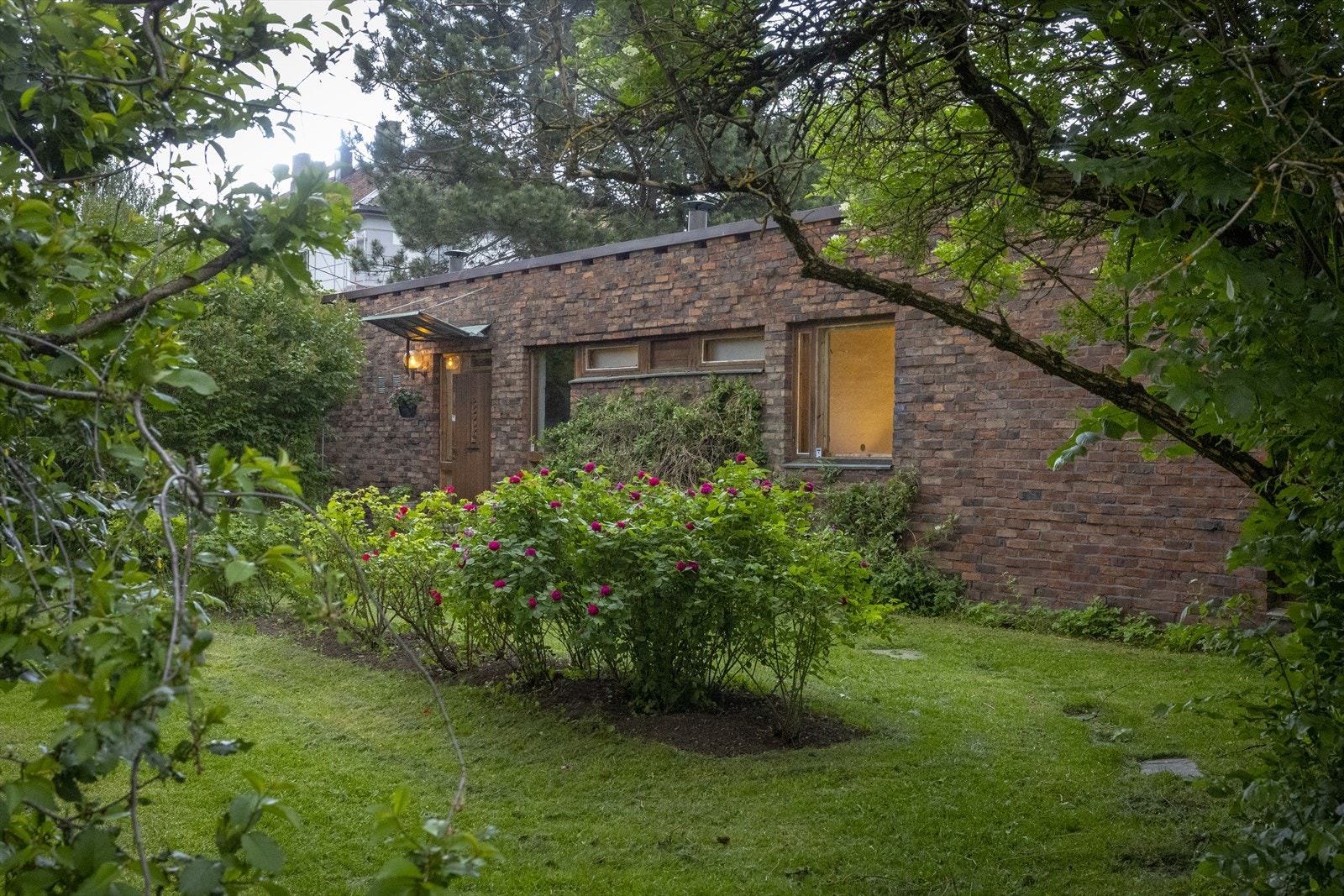 Selgers egne bilder av den frodige beplantningen. Galleribilde