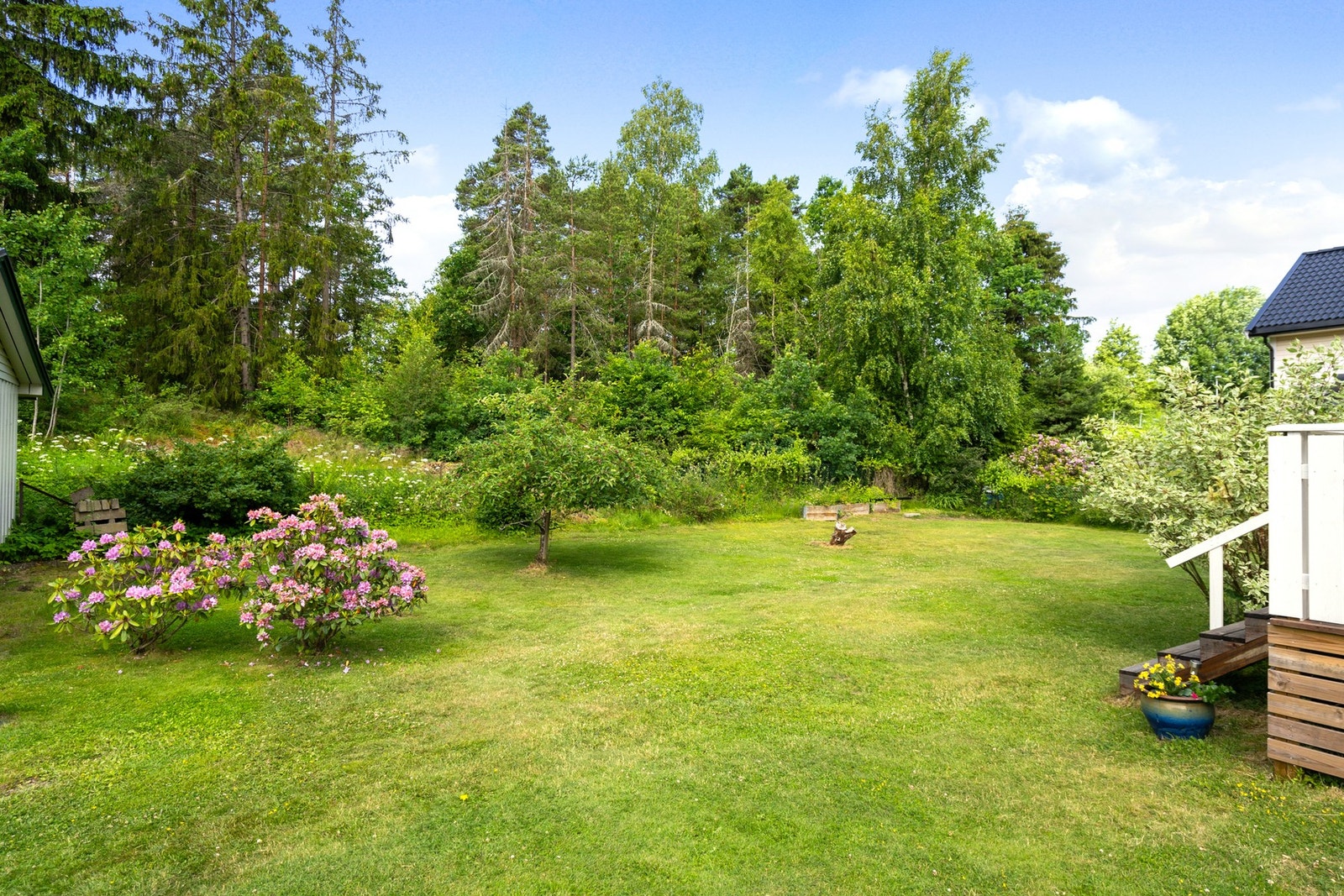 Sjarmerende og solrik hage pent opparbeidet med blomster, busker og trær. Galleribilde