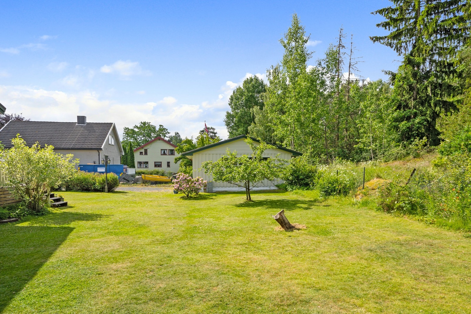 Piknik, leg og moro for store, små og firbeinte. Galleribilde