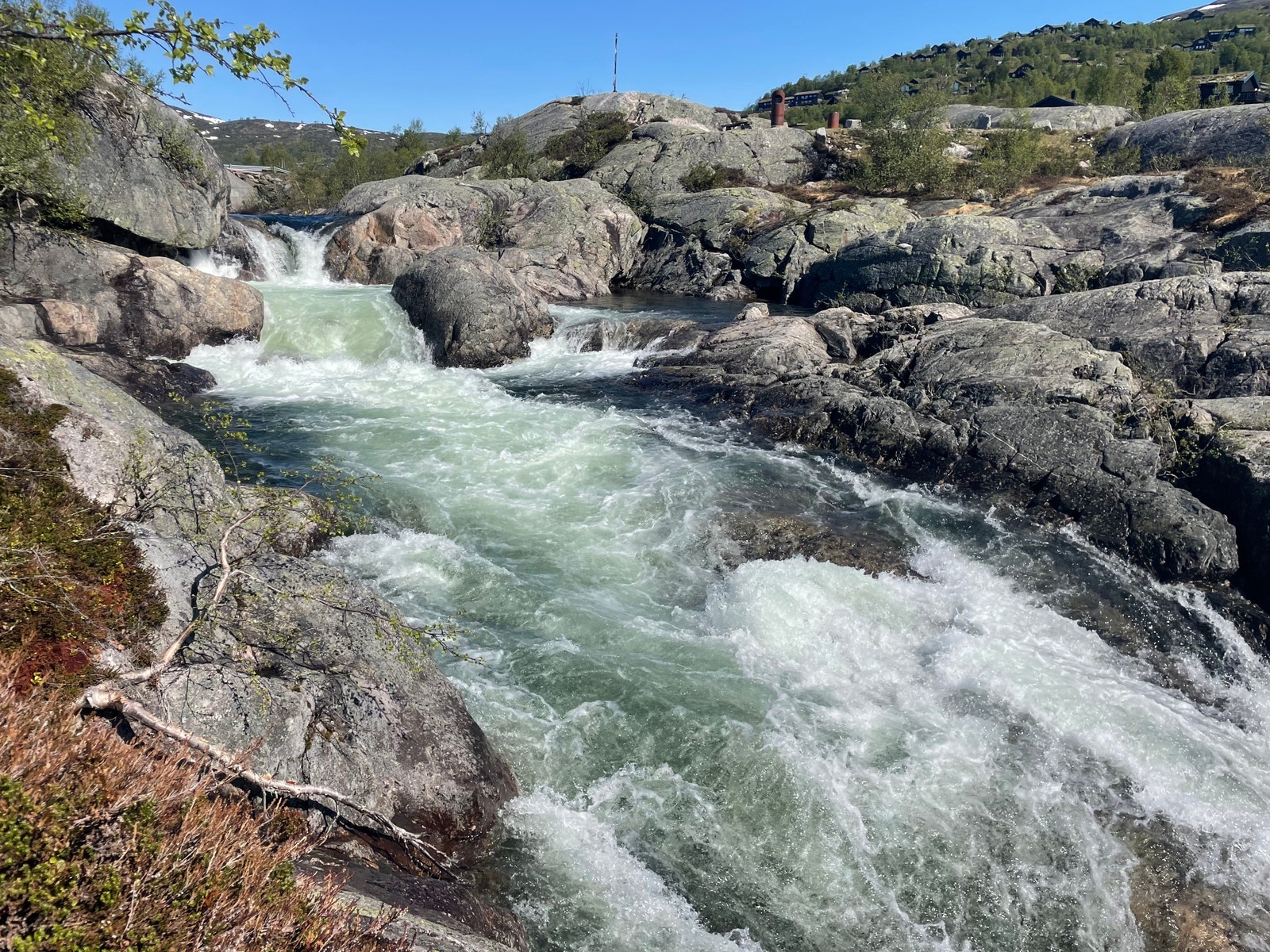 Fra Arbustubben , elva mellom Eivindbu- og Arbuvatn Galleribilde