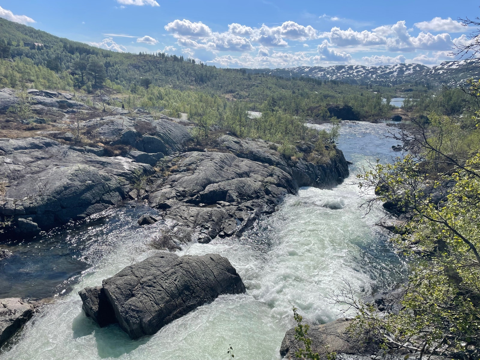 Fra Arbustubben , elva mellom Eivindbu- og Arbuvatn, tomtene til venstre i bildet Galleribilde
