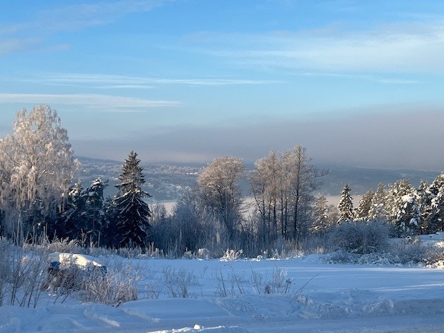 vinterstemning - privatbilde Galleribilde