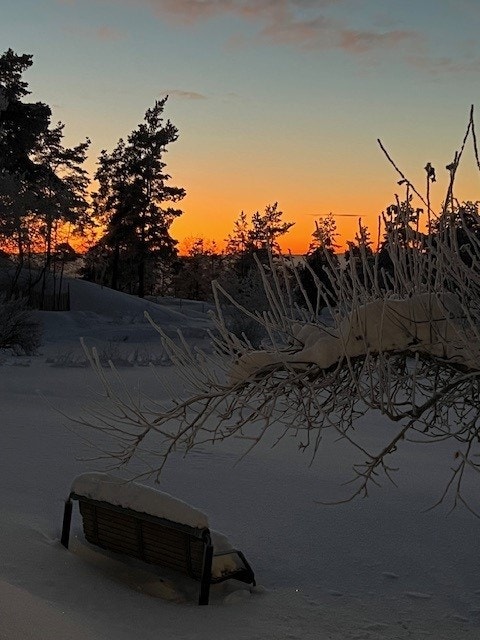 vinterstemning - privatbilde Galleribilde