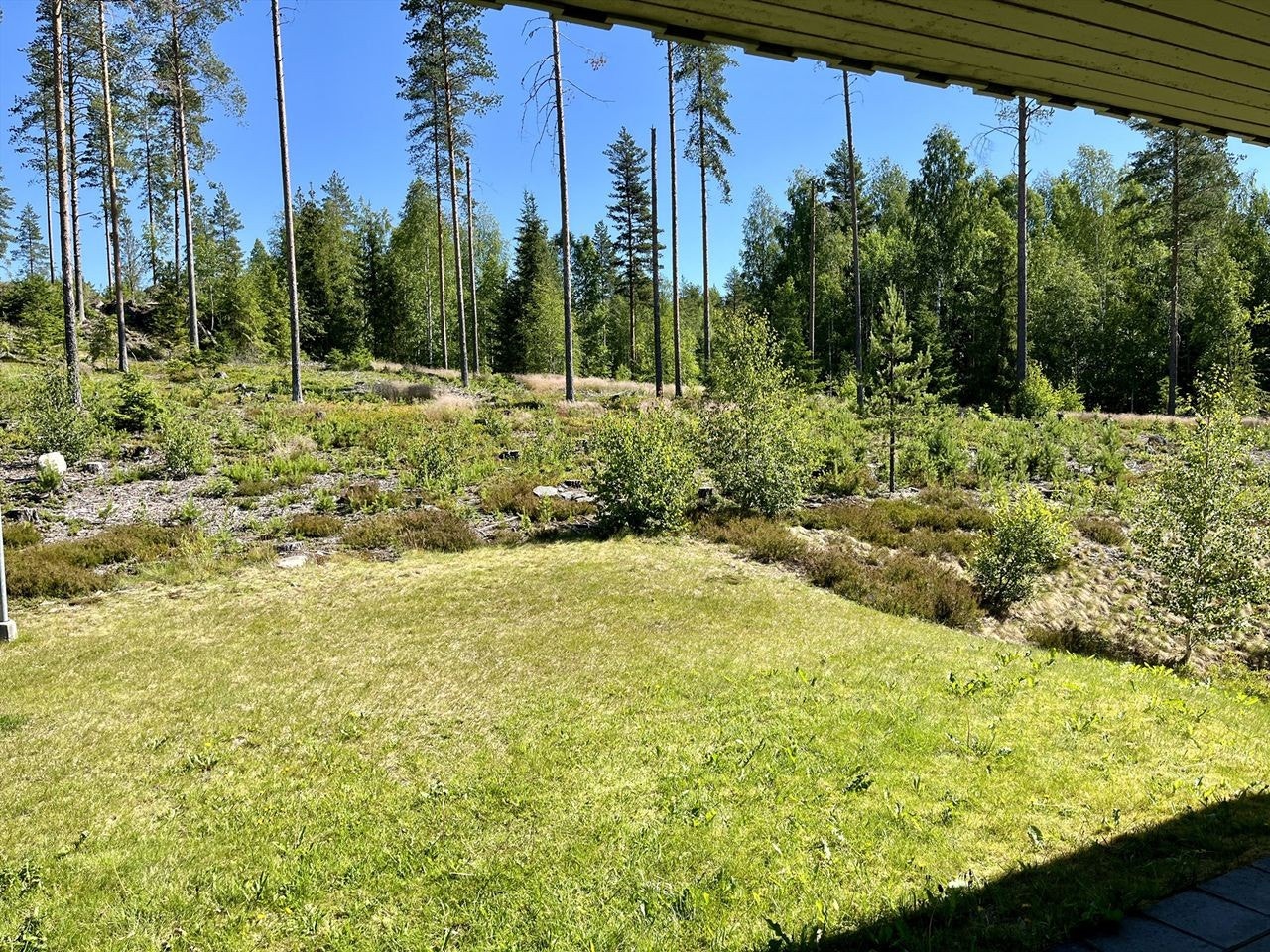 Rett ut i marka fra felles gang i samme etasje som leiligheten Galleribilde