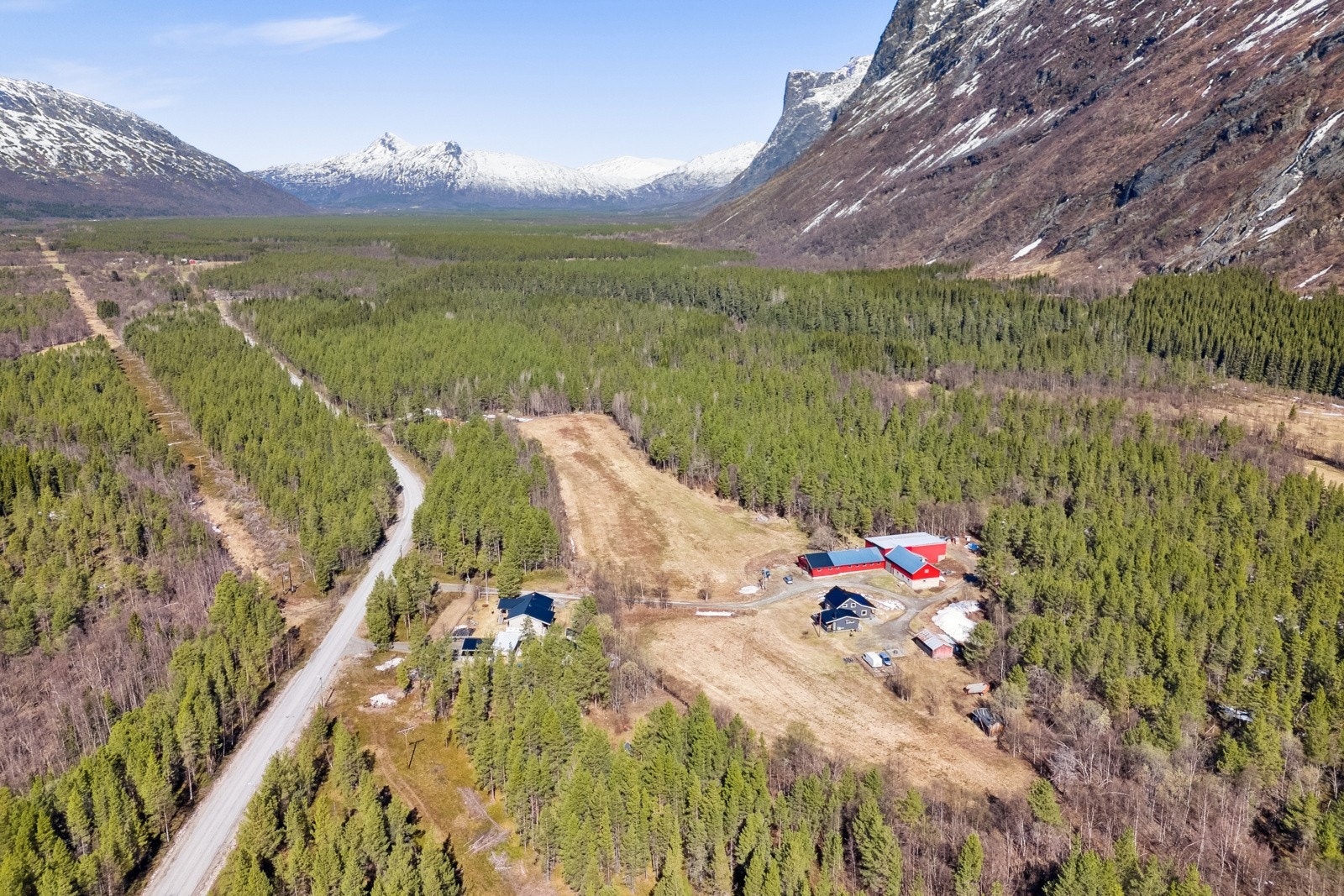 Område Galleribilde