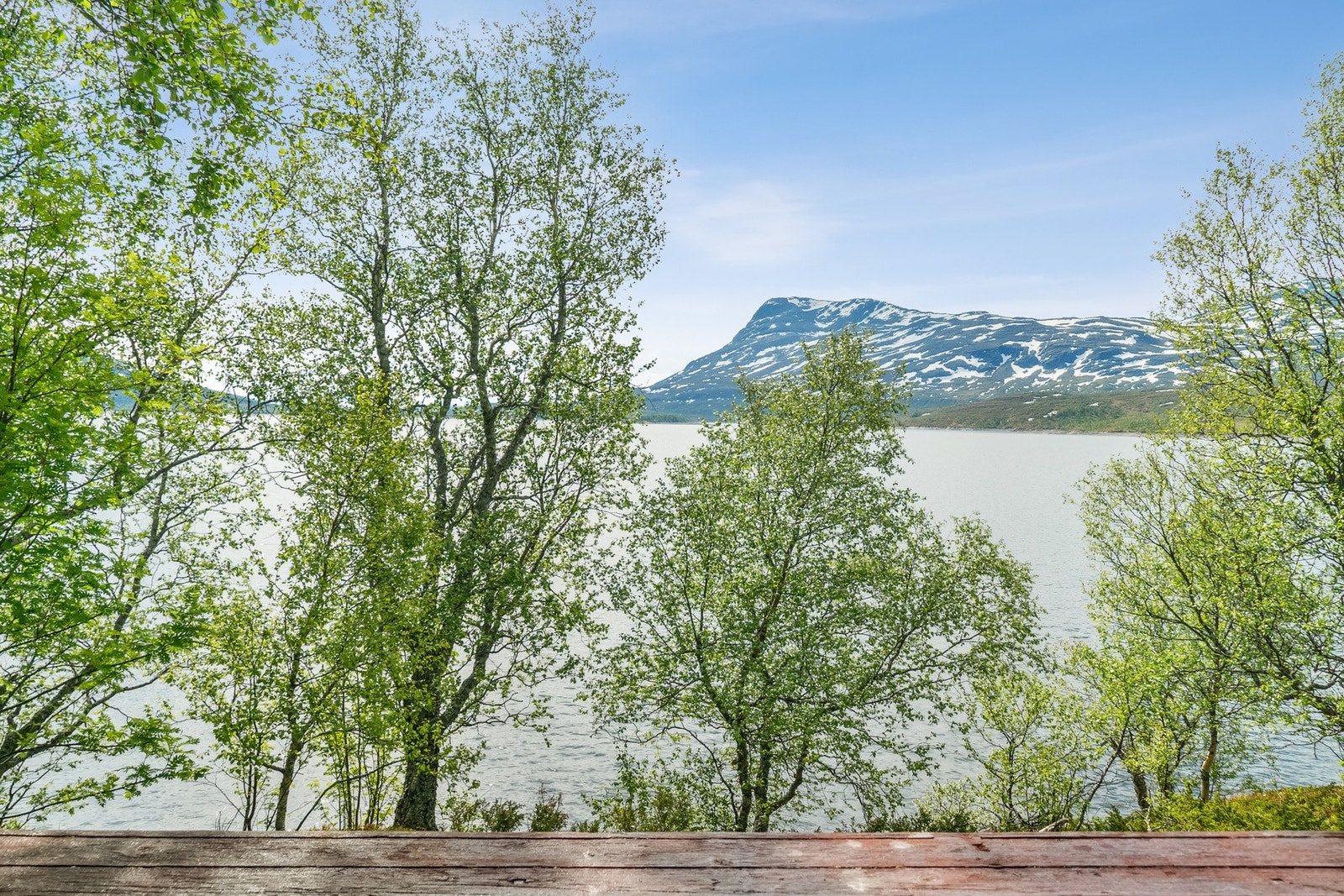 Fin utsikt Galleribilde