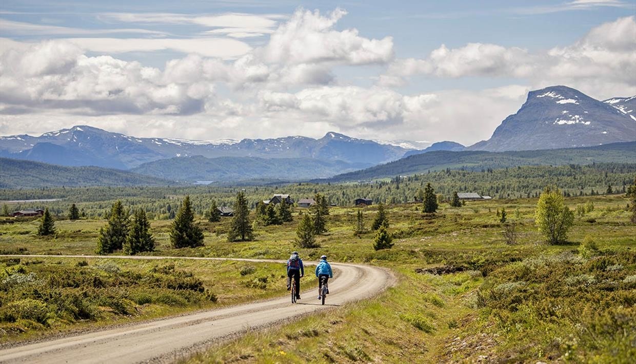 Golsfjellet har et helt utmerket stinett og flotte stølsveier som er perfekt for sykling. Galleribilde