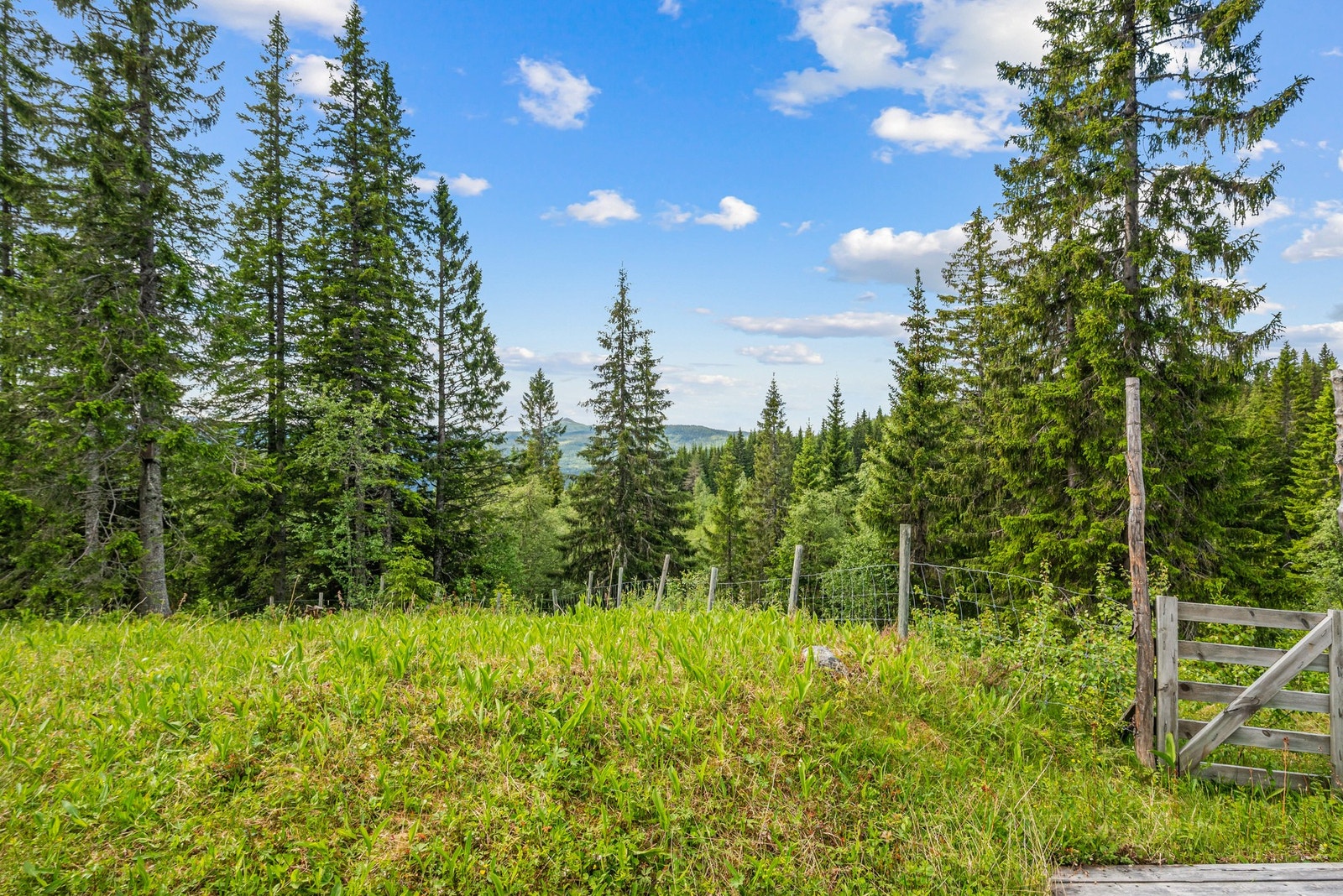 Eiendommen er inngjerdet da det tidligere da det tidvis er dyrehold på nabogårdene Galleribilde