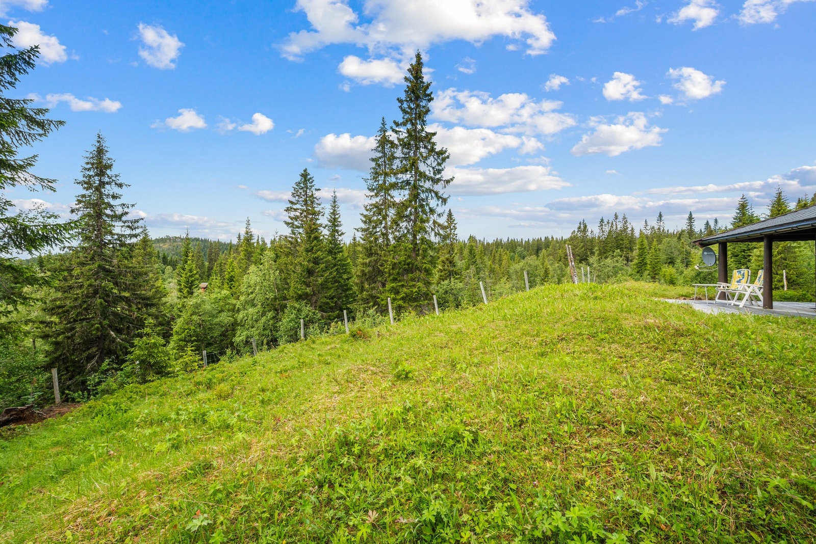 Stor boltringsplass på den 1492kvm store tomten Galleribilde