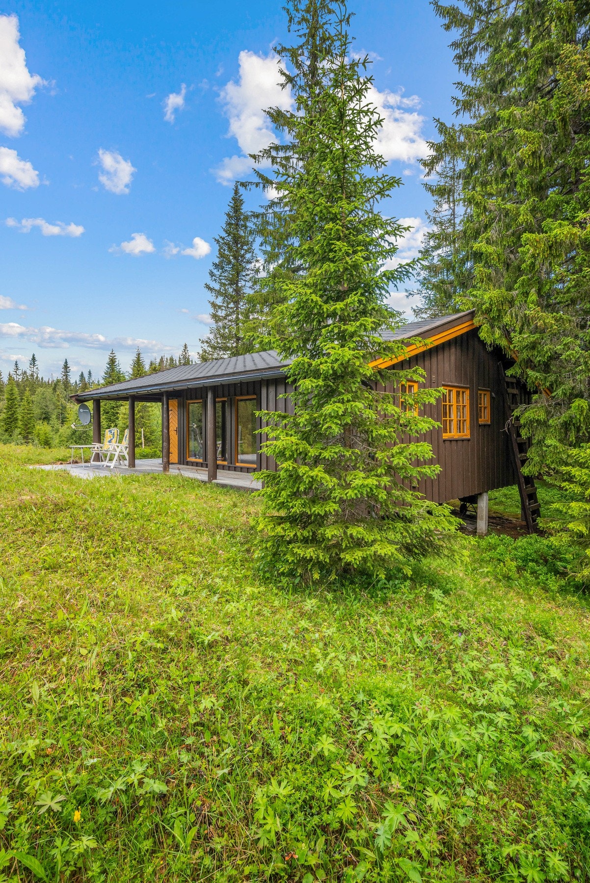 Velkommen til en hyggelig visning! Galleribilde