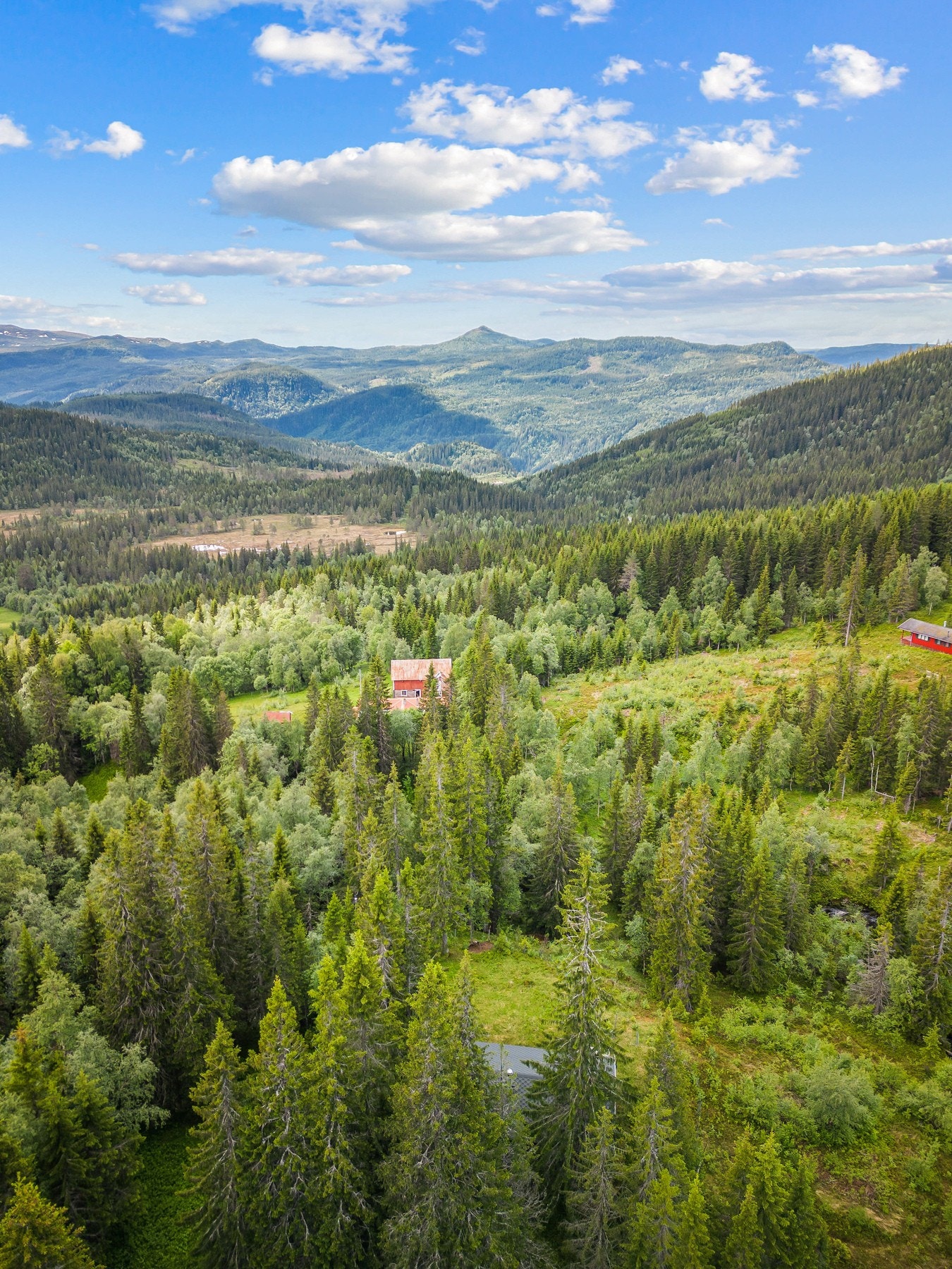Eventyrlige omgivelser. Hytta ligger like ved ærverdige Haugen gård som en gang tilhørte familien bak Britannia Hotel. Galleribilde