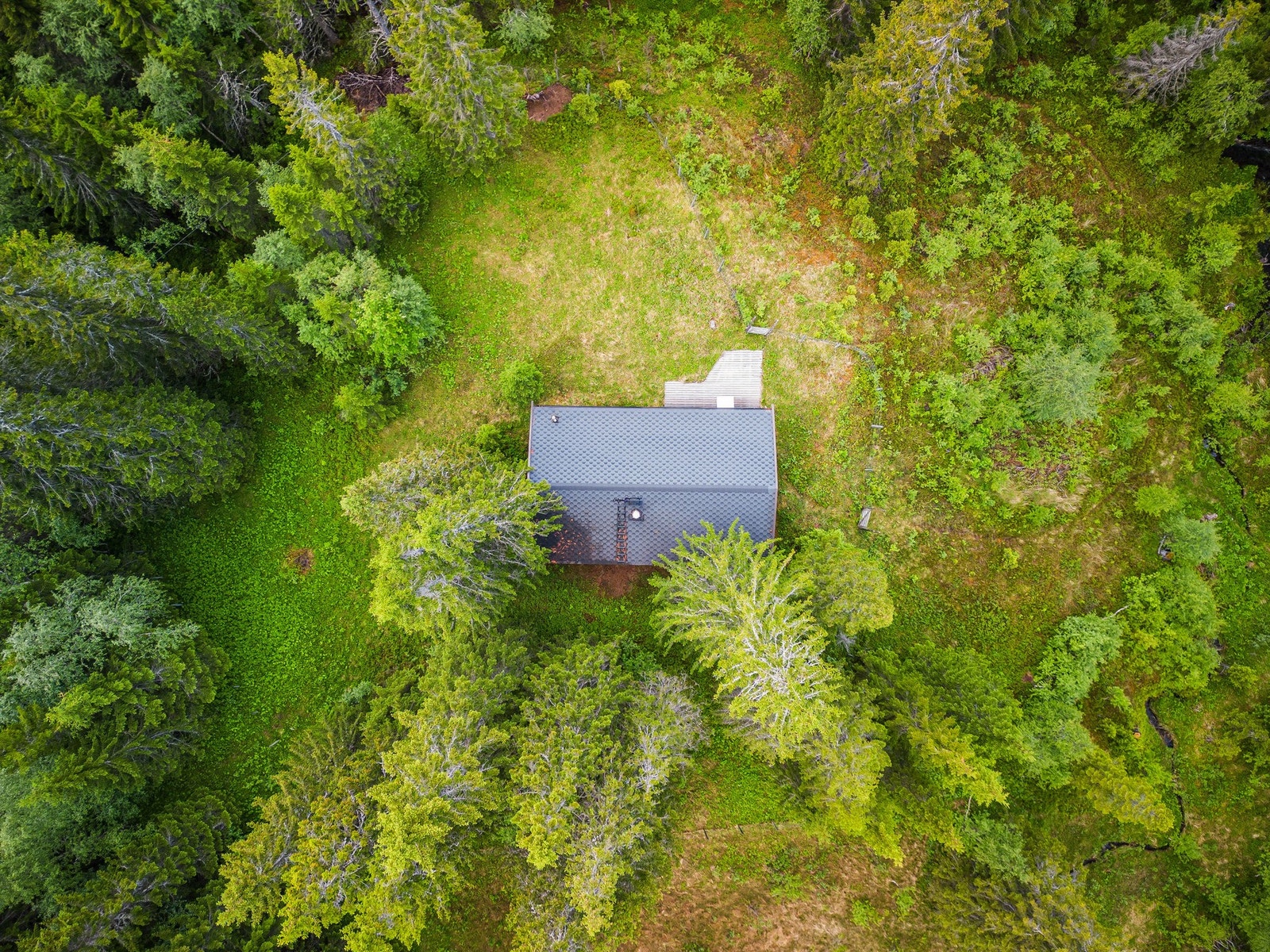 Stor boltringsplass for små og store Galleribilde