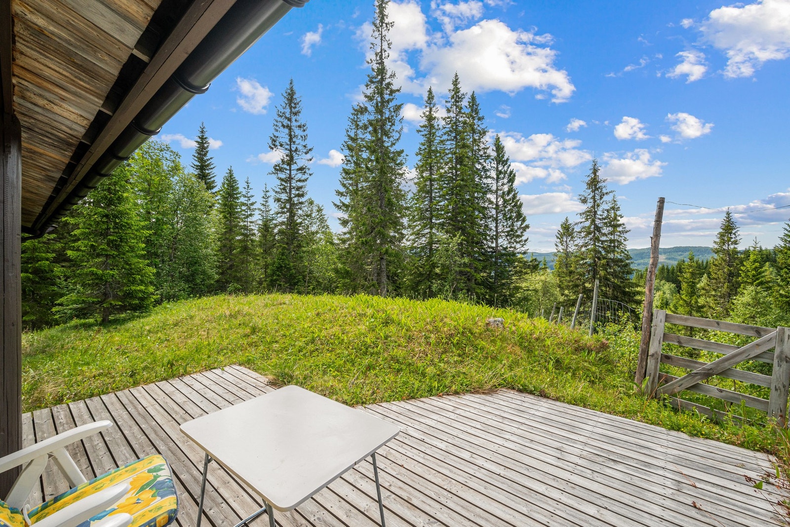 Området er noe gjengrodd gjennom årene. Her er det potensiale for å få enda bedre utsikt Galleribilde