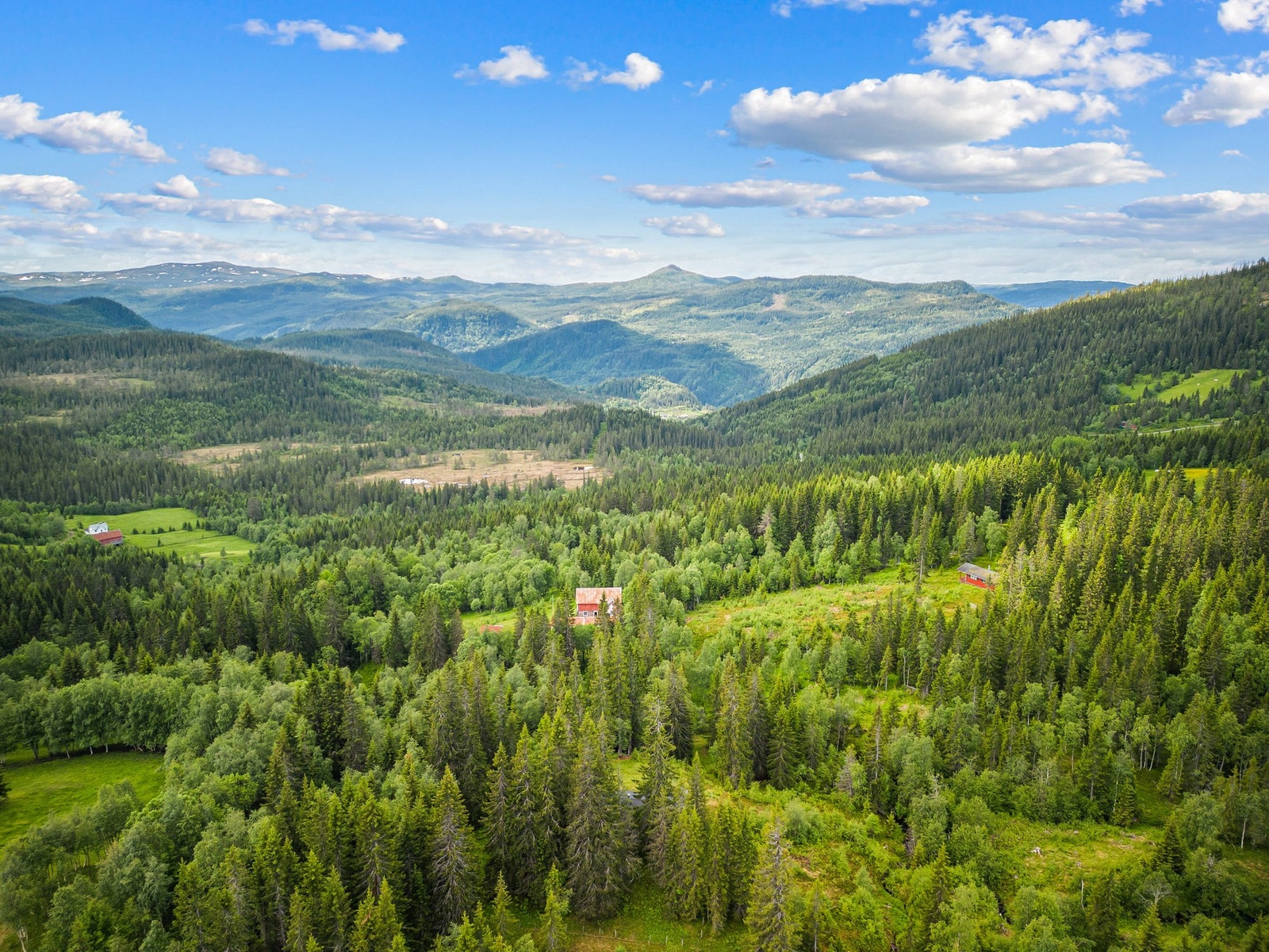 Eiendommen har grodd litt igjen de siste årene, her har man potensialet til en nydelig utsikt Galleribilde