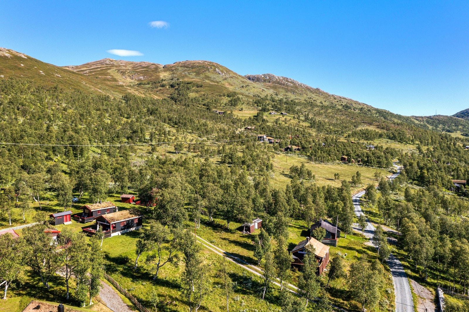 Bilvei frem til hytta. Galleribilde