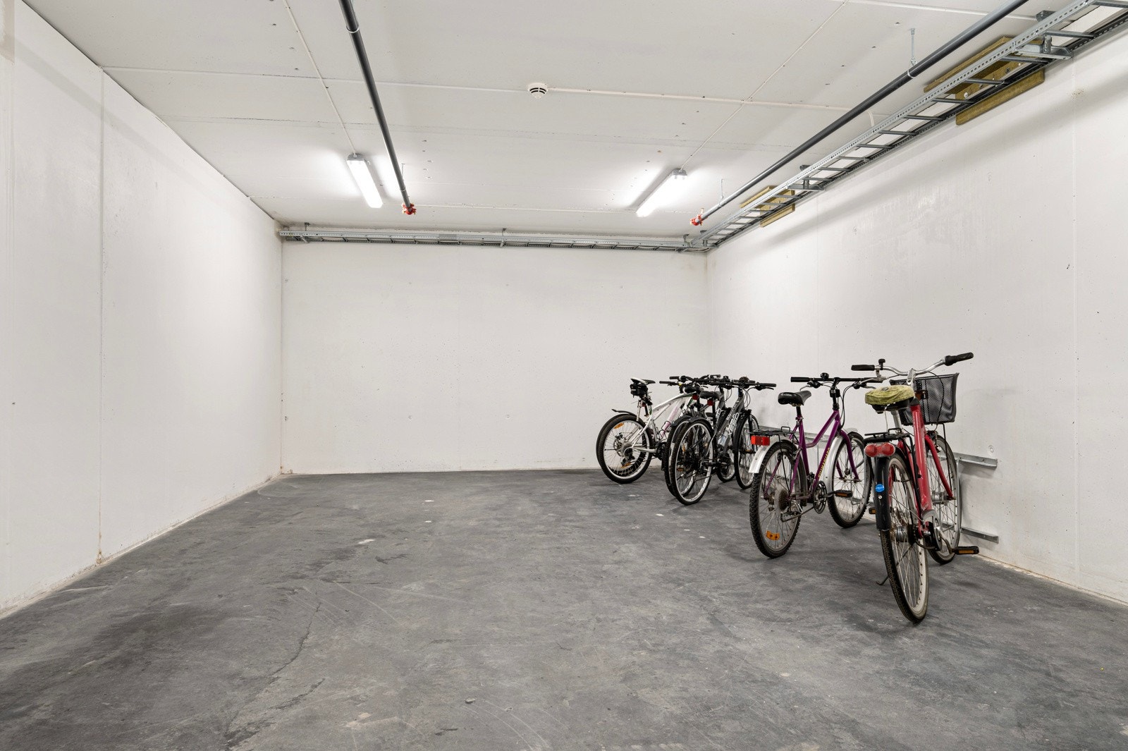 Bod. Galleribilde