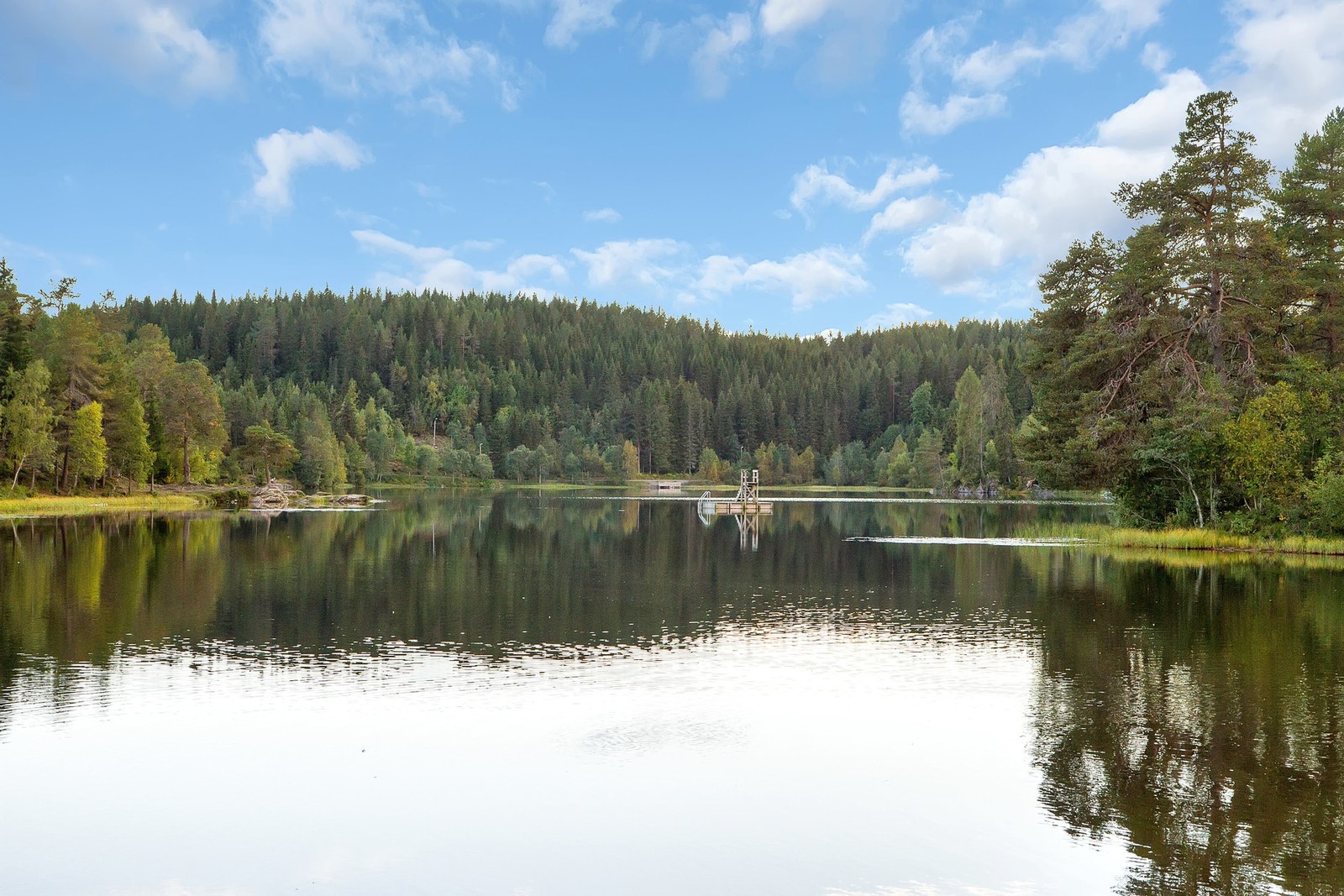 Fra området er det også gangavstand til tre av byens populære badevann, Lianvannet, Kyvannet og Haukvannet. Galleribilde