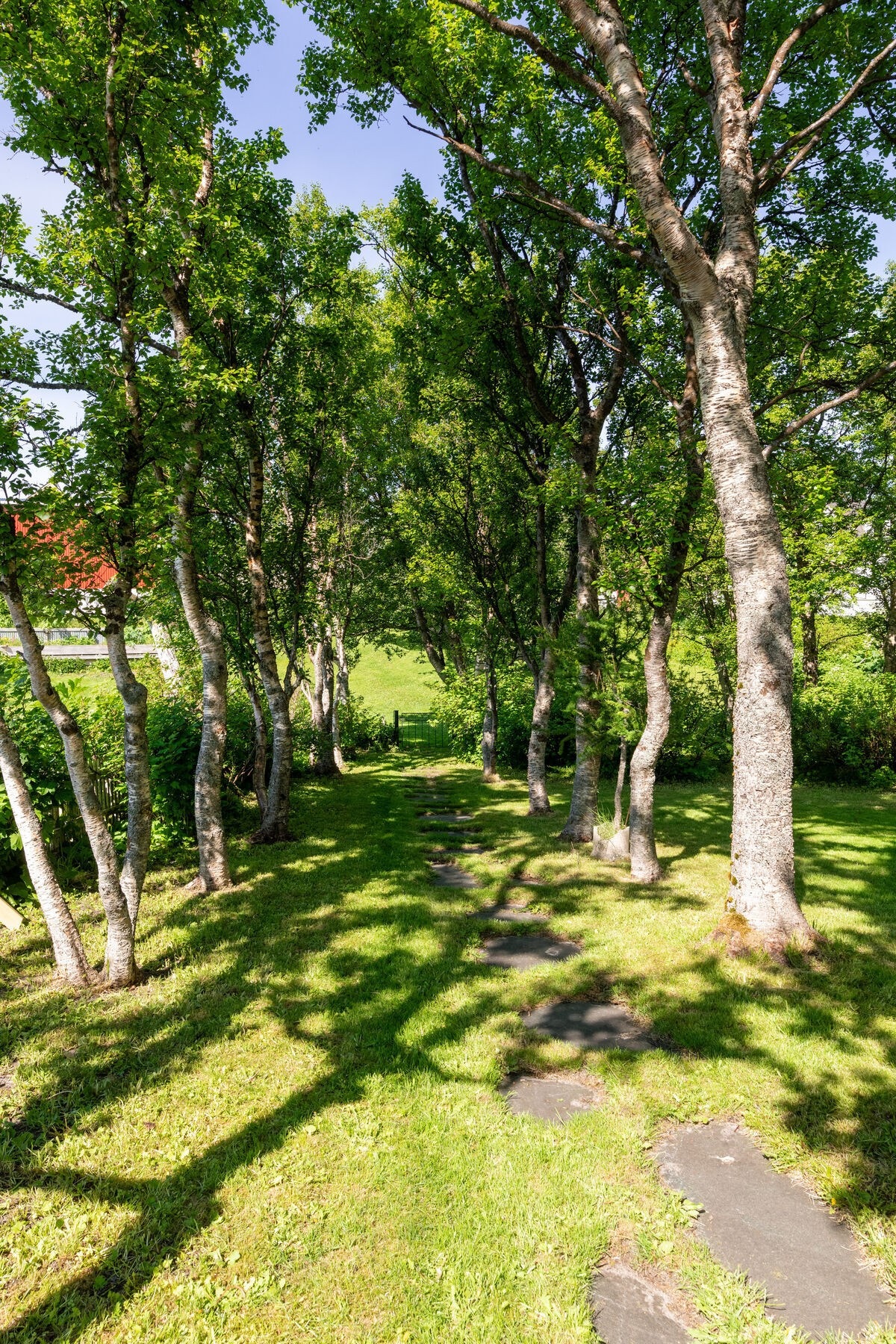 Skjermet og koselig uteområde med mye beplantning. Galleribilde
