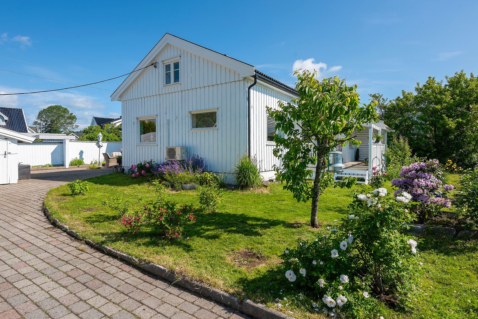 Her koser husets gartner seg Galleribilde