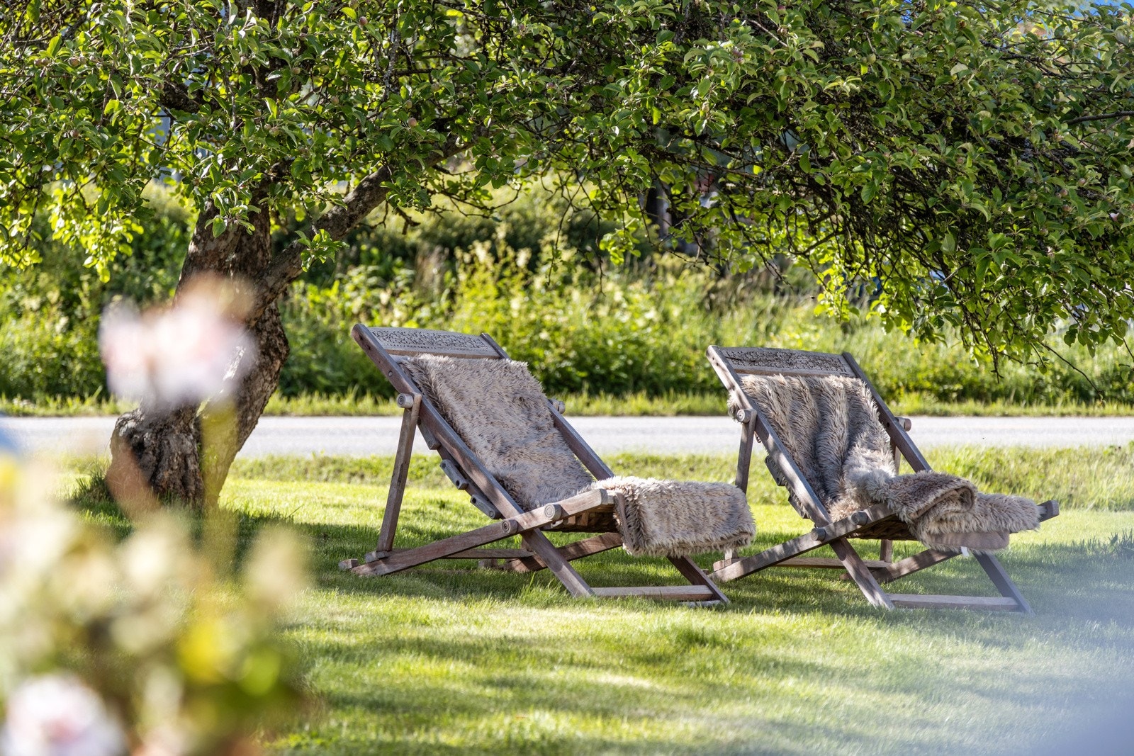 Frodig hageareal med plen, busker og trær. Galleribilde