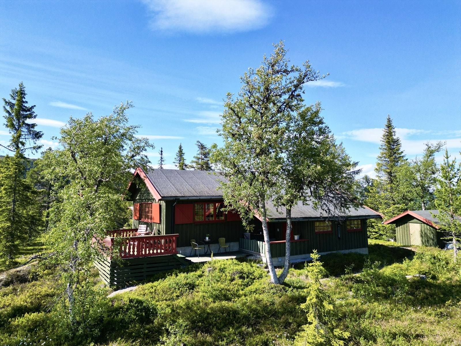 Velkommen til Venelivegen 279! Galleribilde