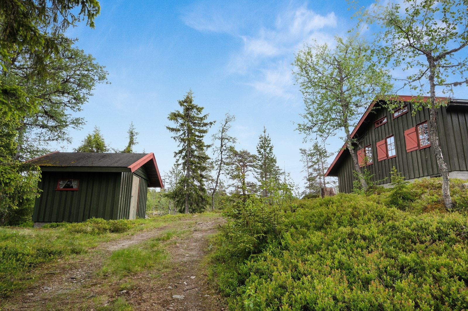 Det er vei helt fram til hytta med parkering på egen eiendom. Galleribilde