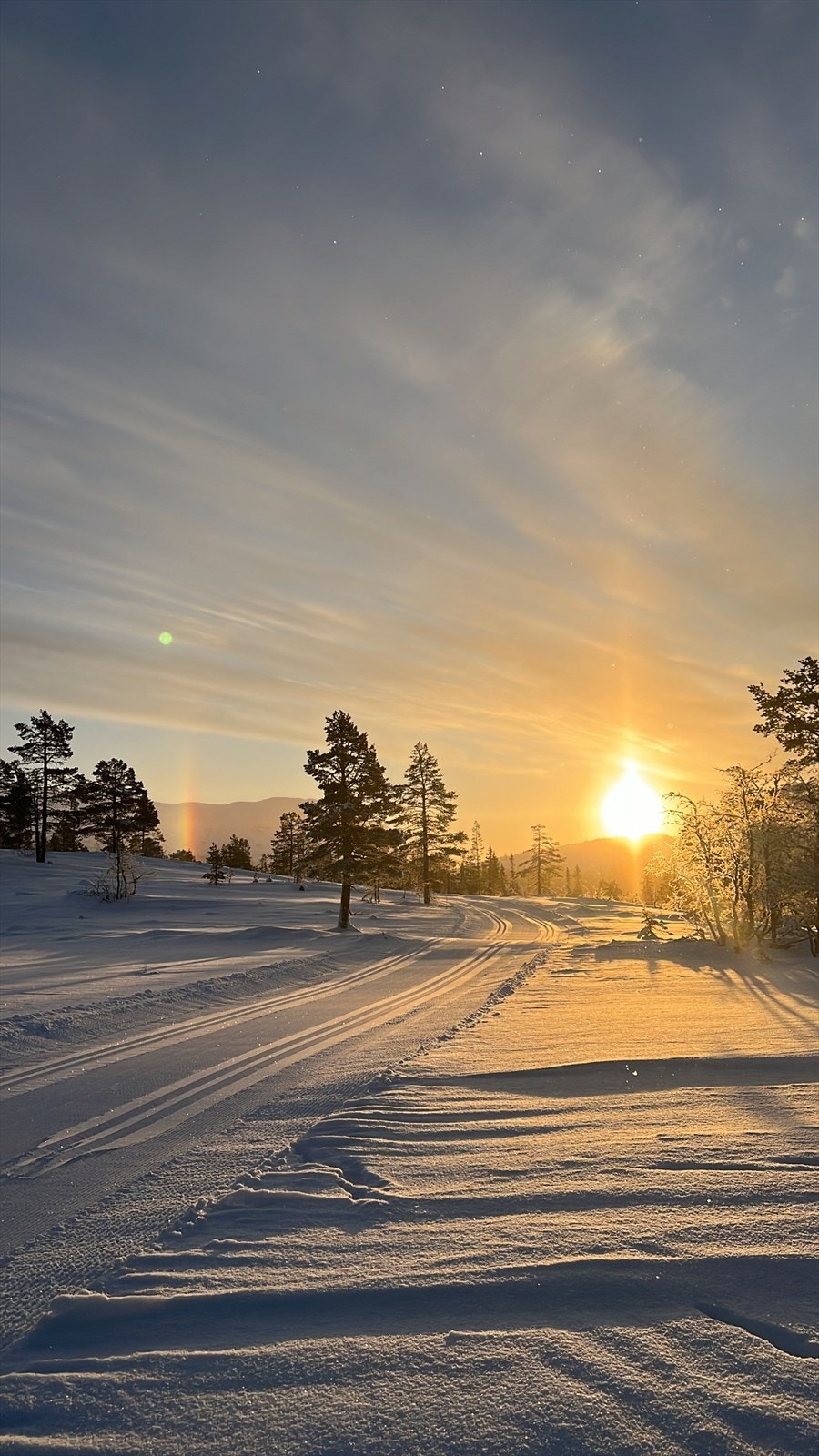 Meglers eget bilde fra skiløypa. Velkommen til visning! Galleribilde