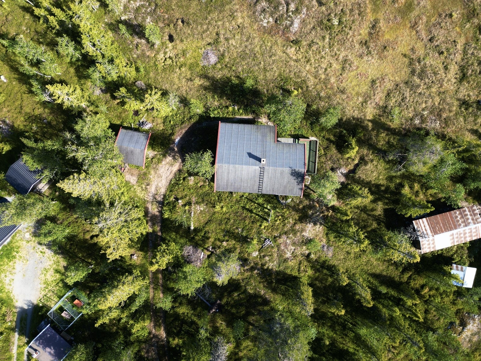 Stor eiet naturtomt på ca. 3 mål med gressareal, busker og steiner. Galleribilde