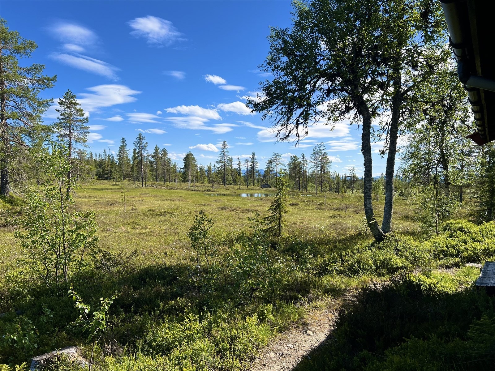 Denne koselige eiendommen på Veneli kan bli det perfekte sted å samle venner og familie til hyggelig stunder i frisk fjelluft. Galleribilde