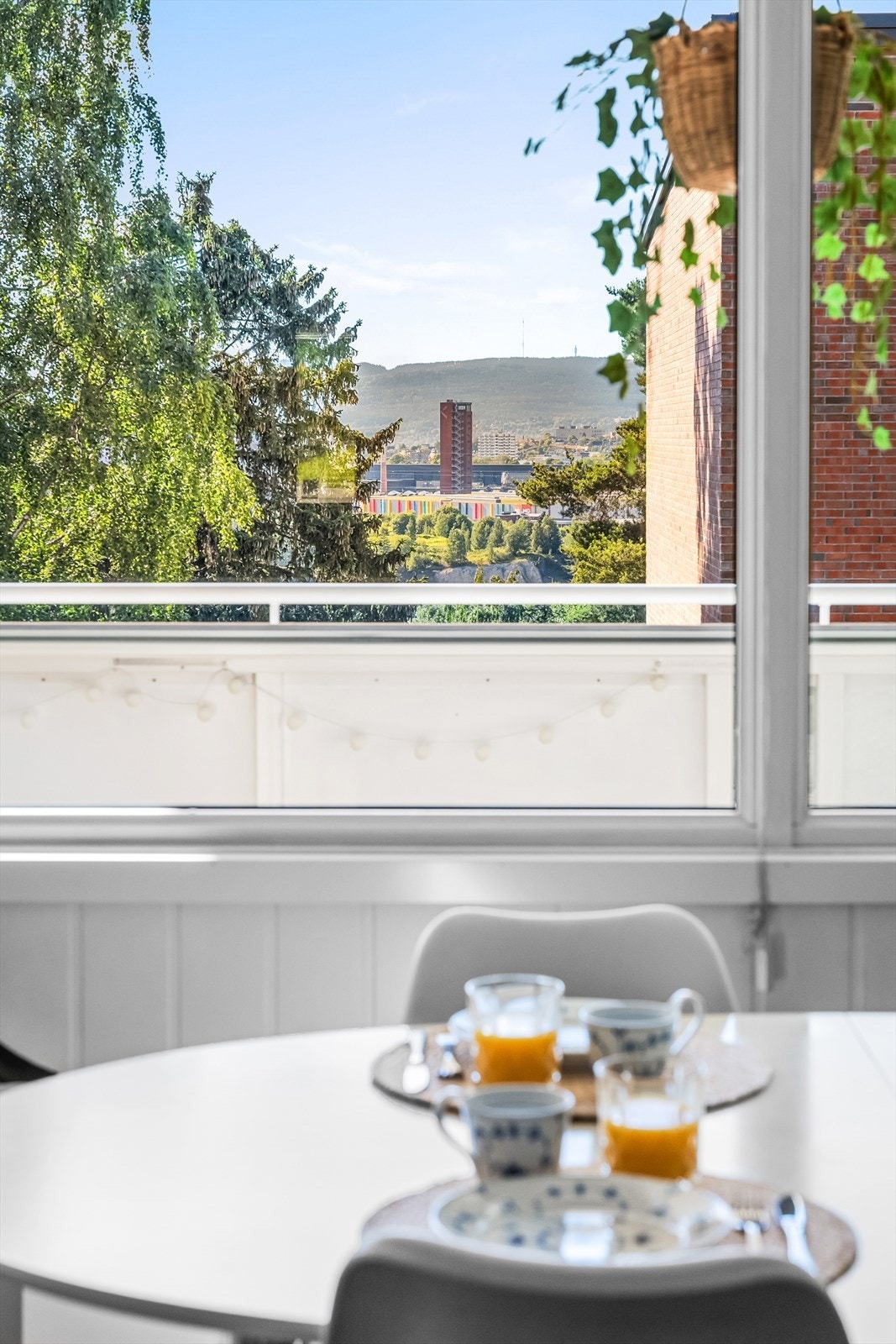 Hyggelig utsikt fra spiseplassen i stuen. Galleribilde