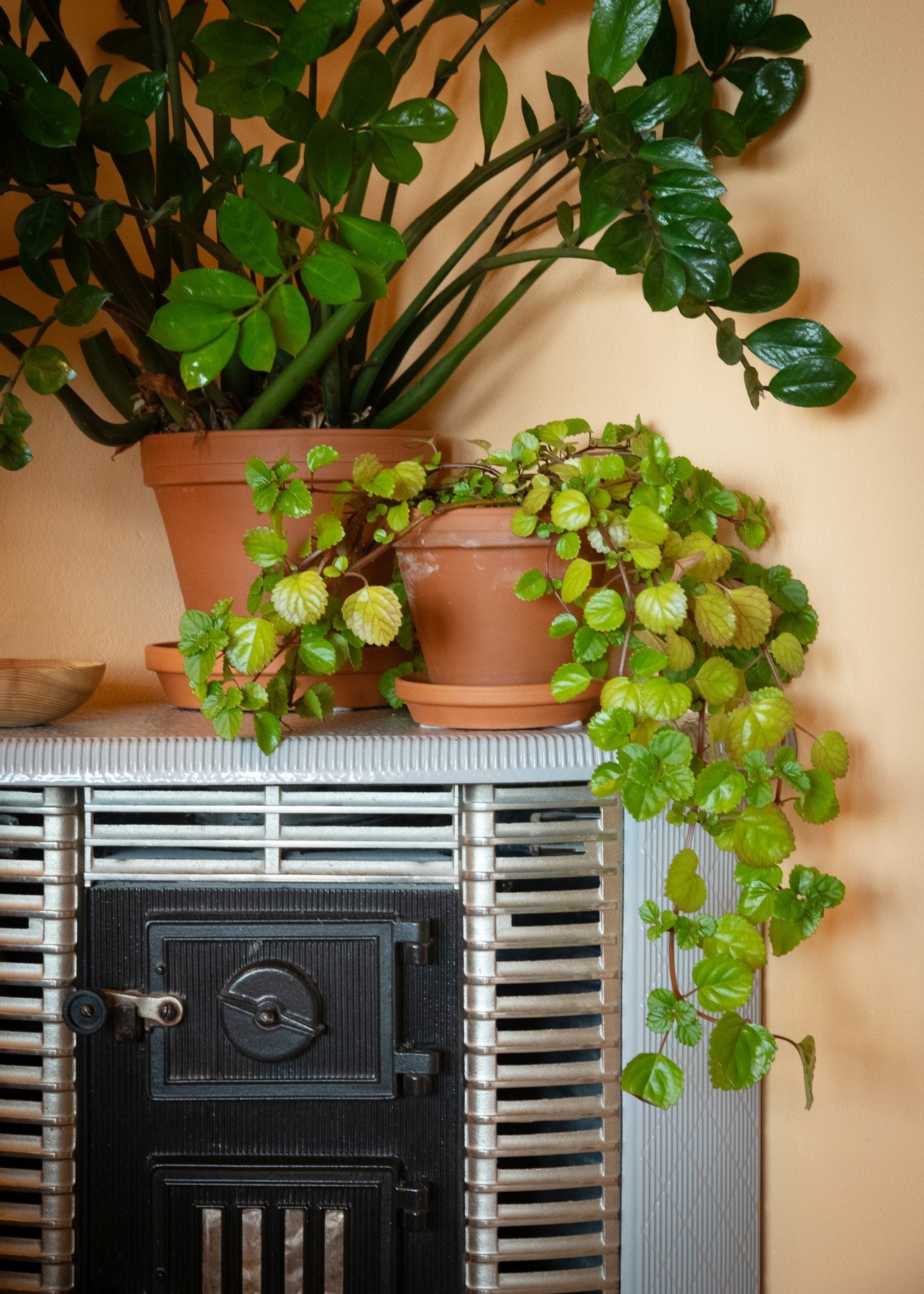 Flott peisovn som gir ekstra varme på de kjøligere kveldene. Galleribilde