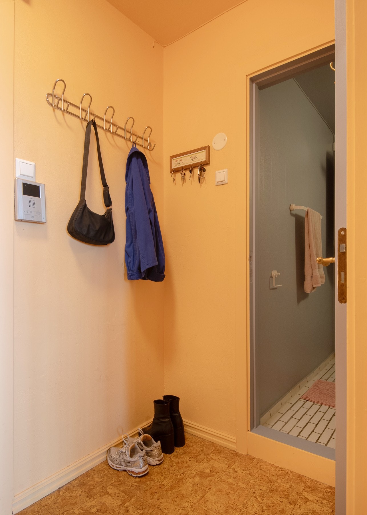 Romslig entré med garderobeskap og muligheter for å henge av seg. Galleribilde