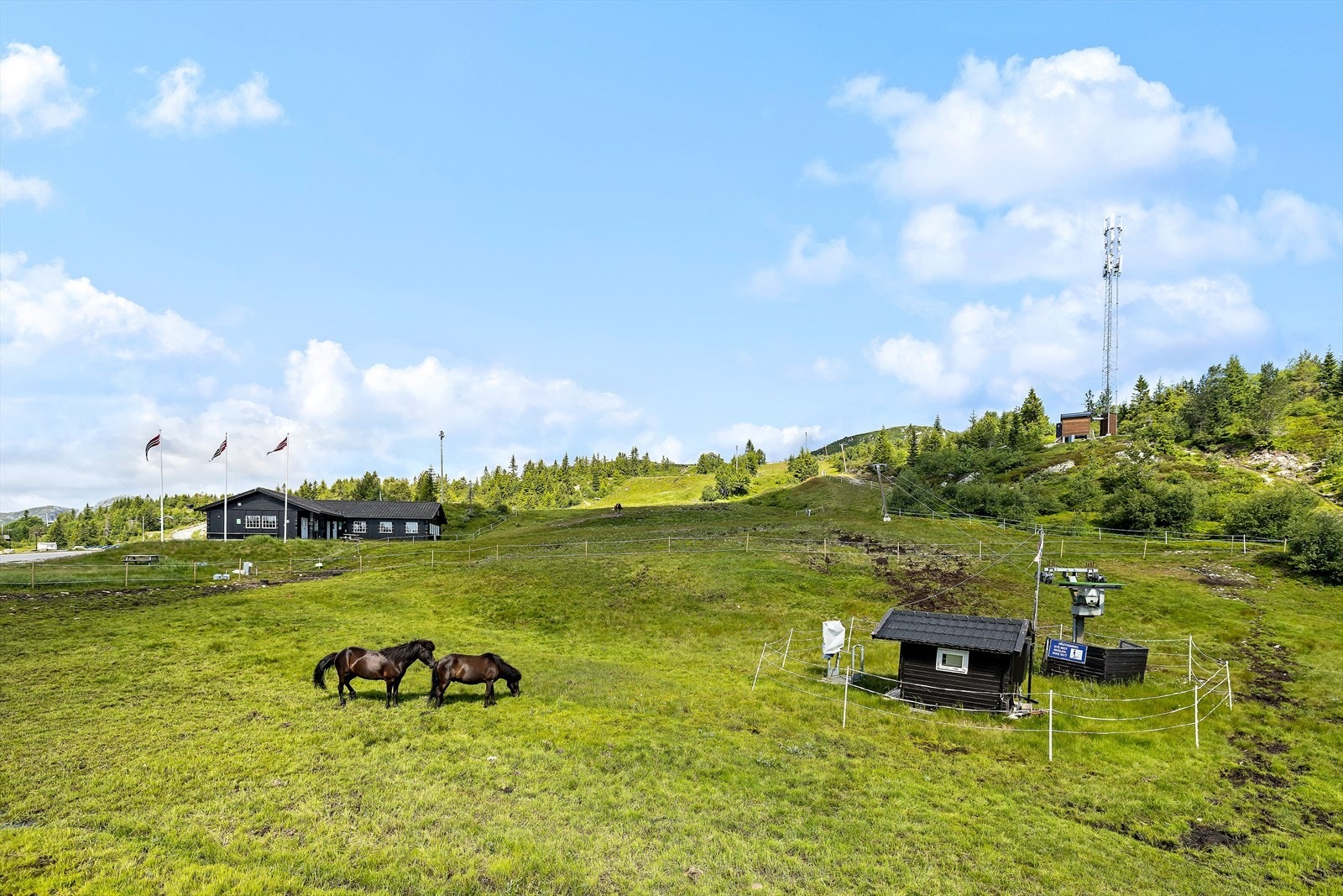 Det er kun ca 500 meter til den lille skiheisen på Lifjell Galleribilde