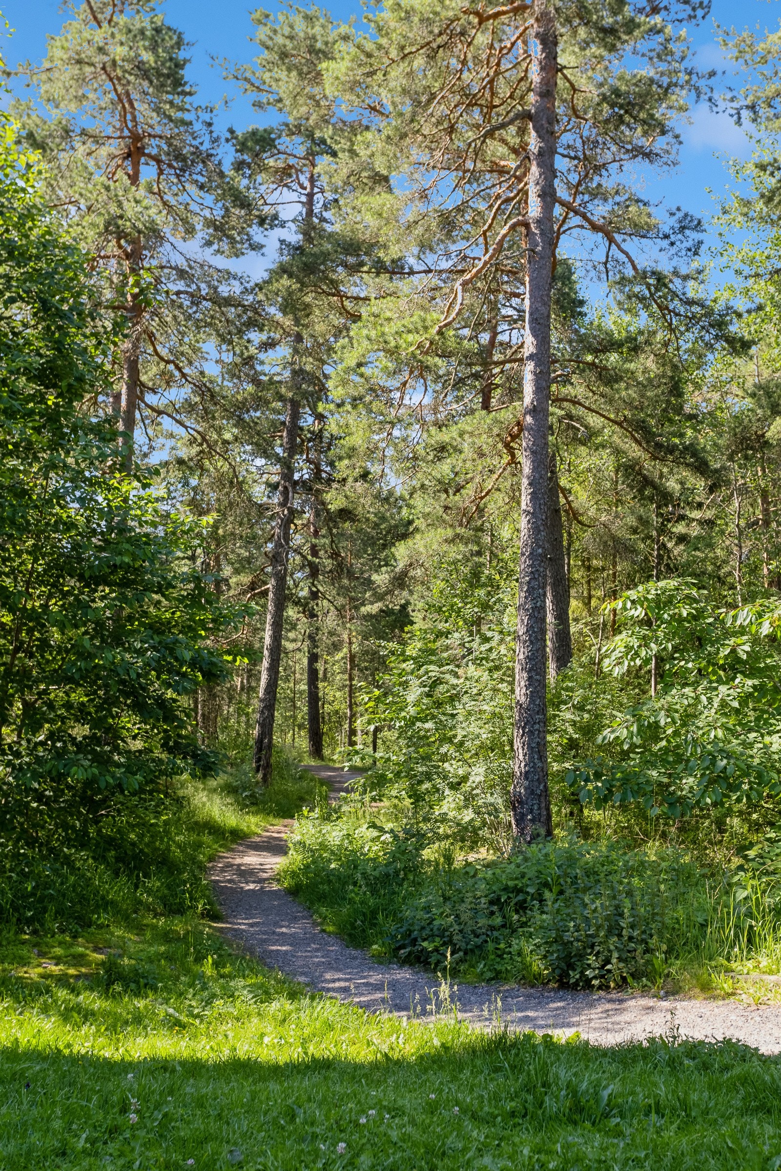 Naturskjønne omgivelser Galleribilde