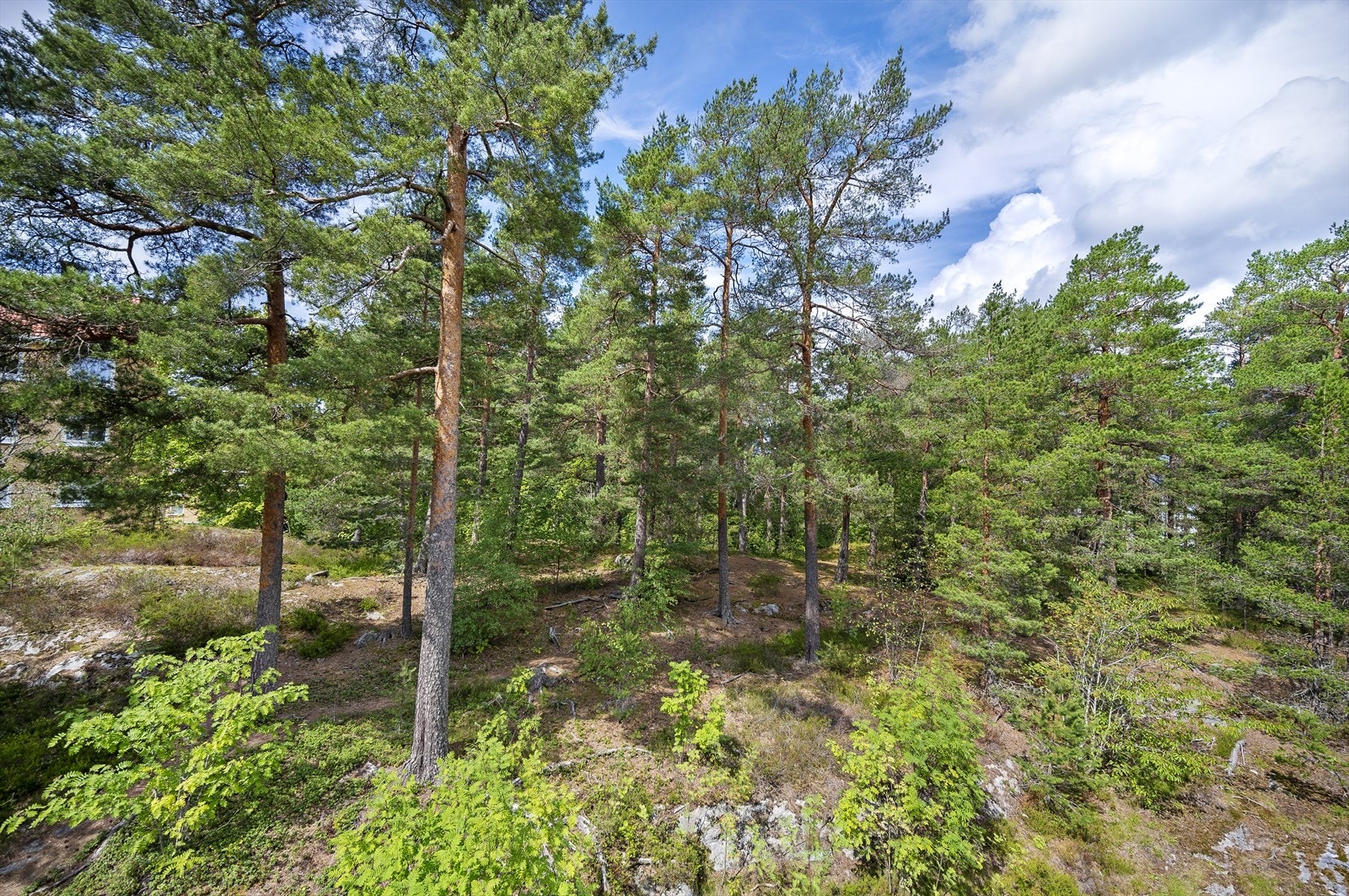Her bor du tett på naturen, samtidig som du finner urbane fasiliteter rett i nærheten. Galleribilde