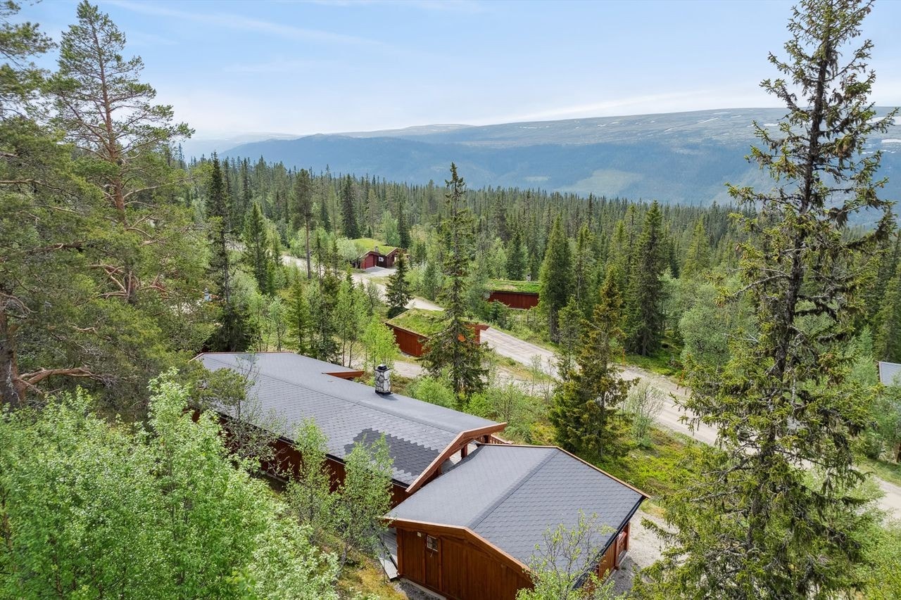 Hytta ligger i et veletablert hytteområdet. Galleribilde