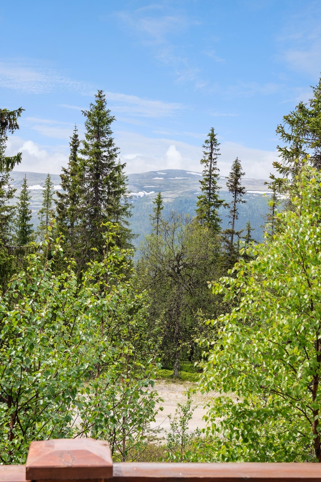 Fantastisk utsikt mot fjell og natur. Perfekt beliggenhet for friluftsentusiaster som ønsker ro og naturskjønnhet rett utenfor døren. Galleribilde