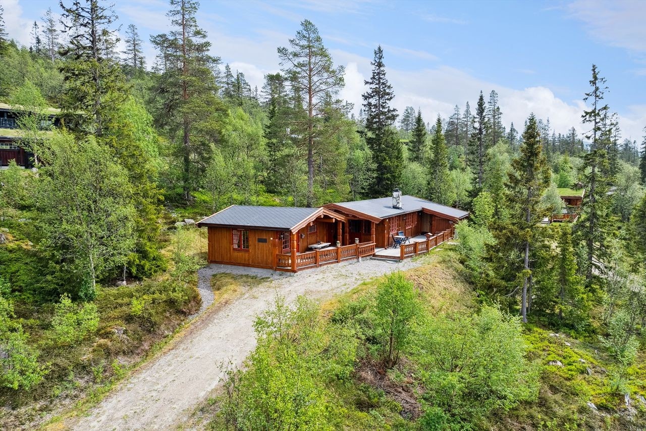 Gruset innkjøring og parkering ved hytta. Galleribilde