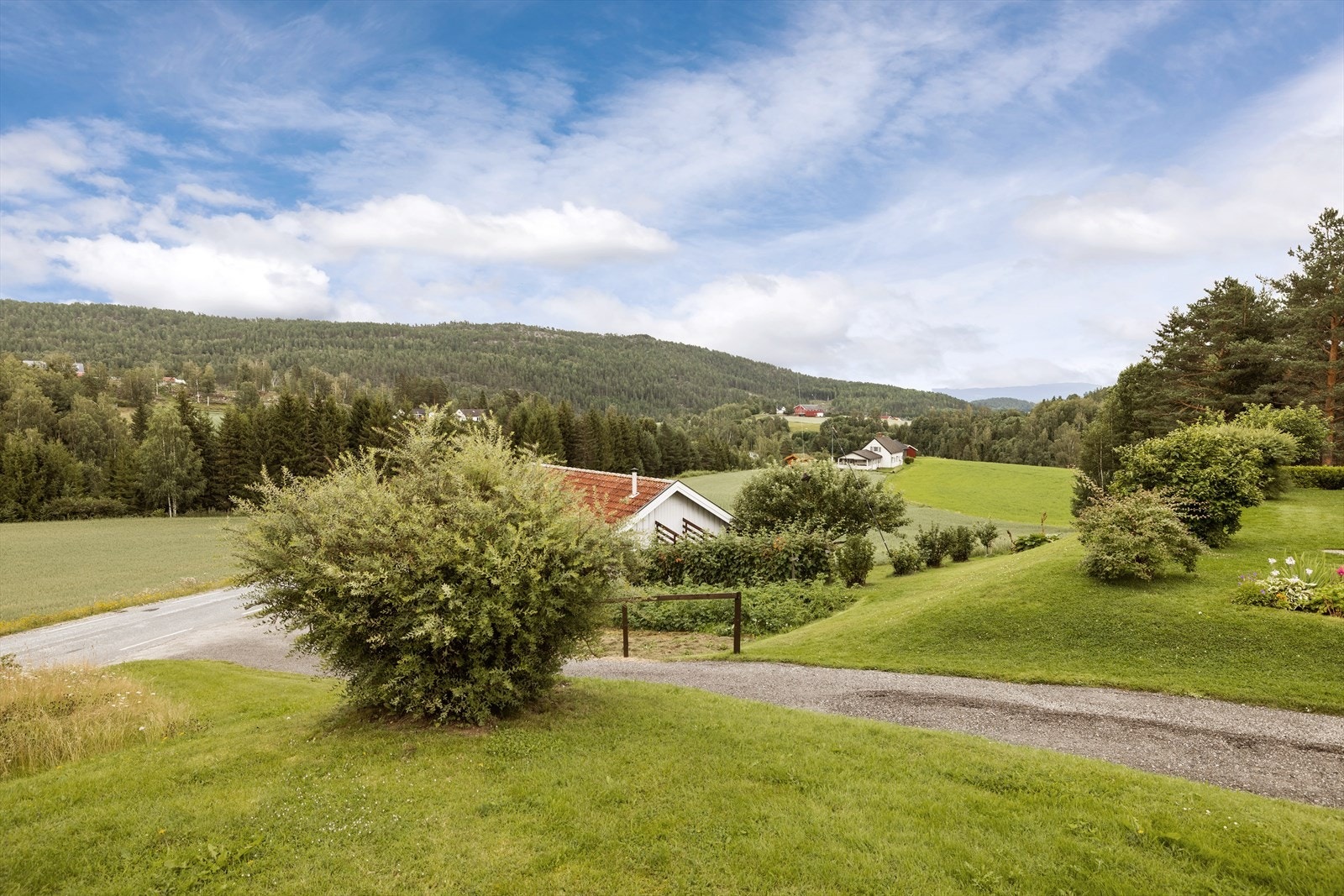 Flott utsikt over landskapet rundt. Galleribilde