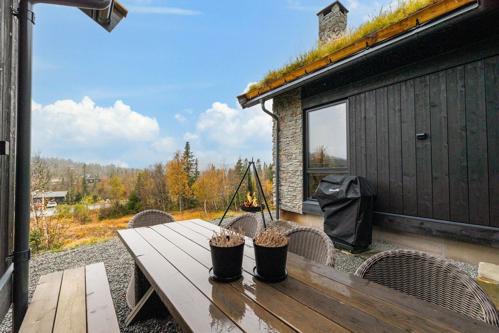 Skjermet. Galleribilde